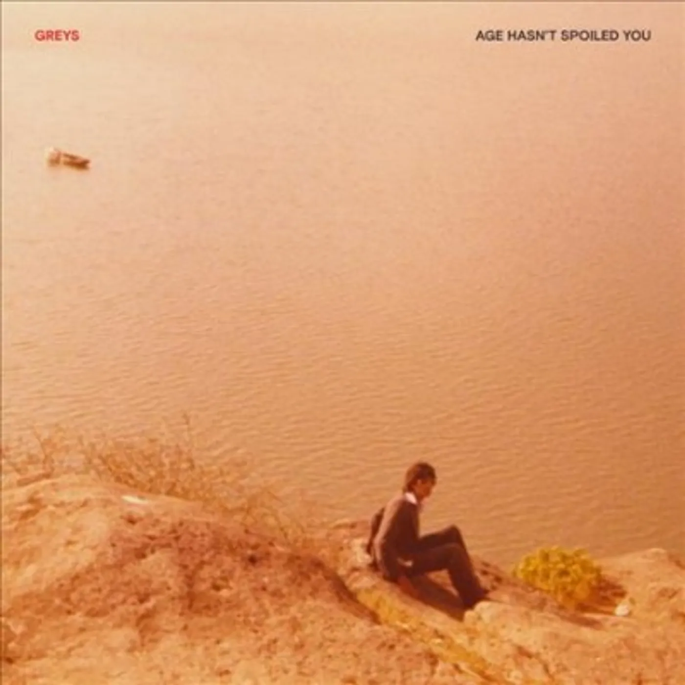 Greys Age Hasn't Spoiled You Vinyl Record