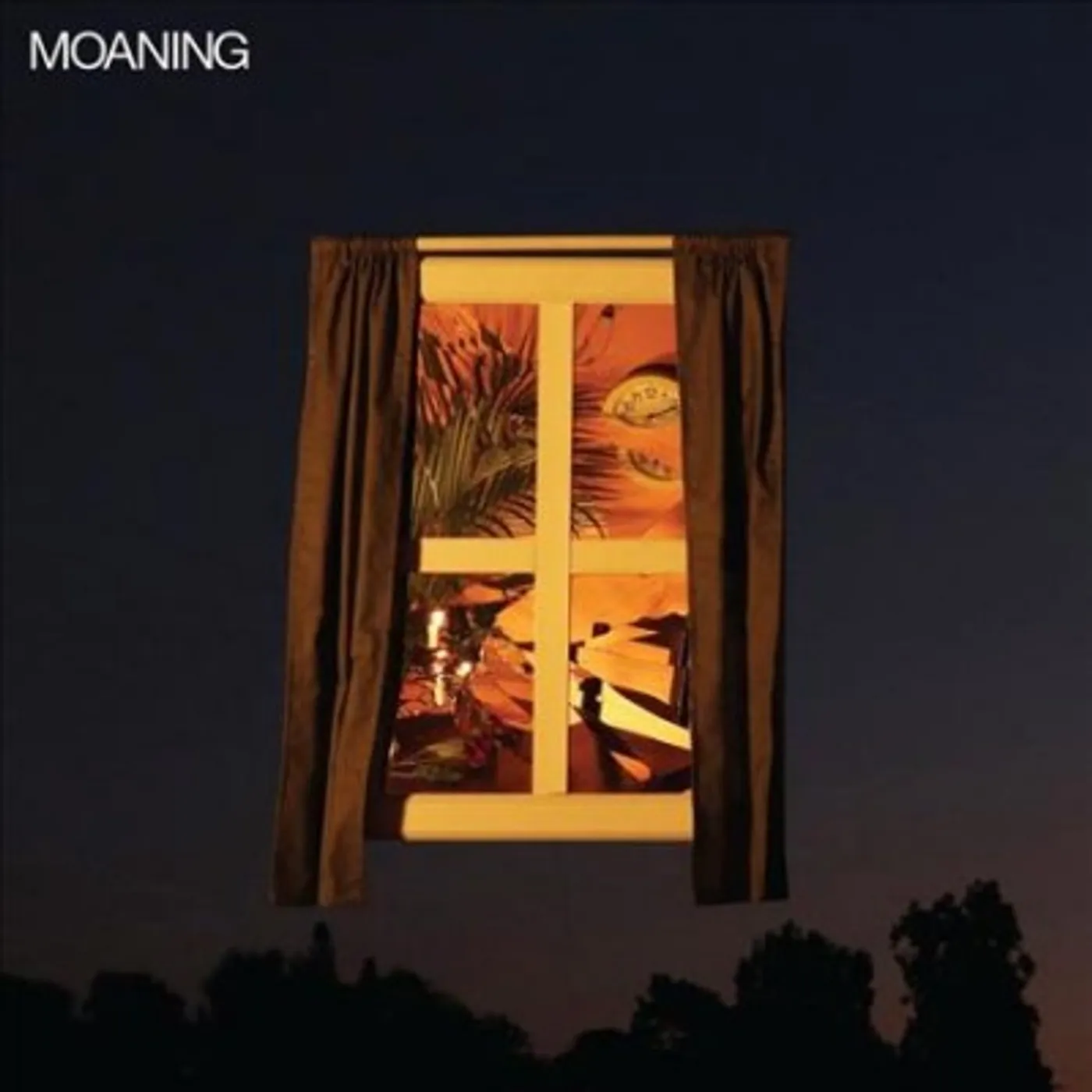 Moaning Vinyl Record