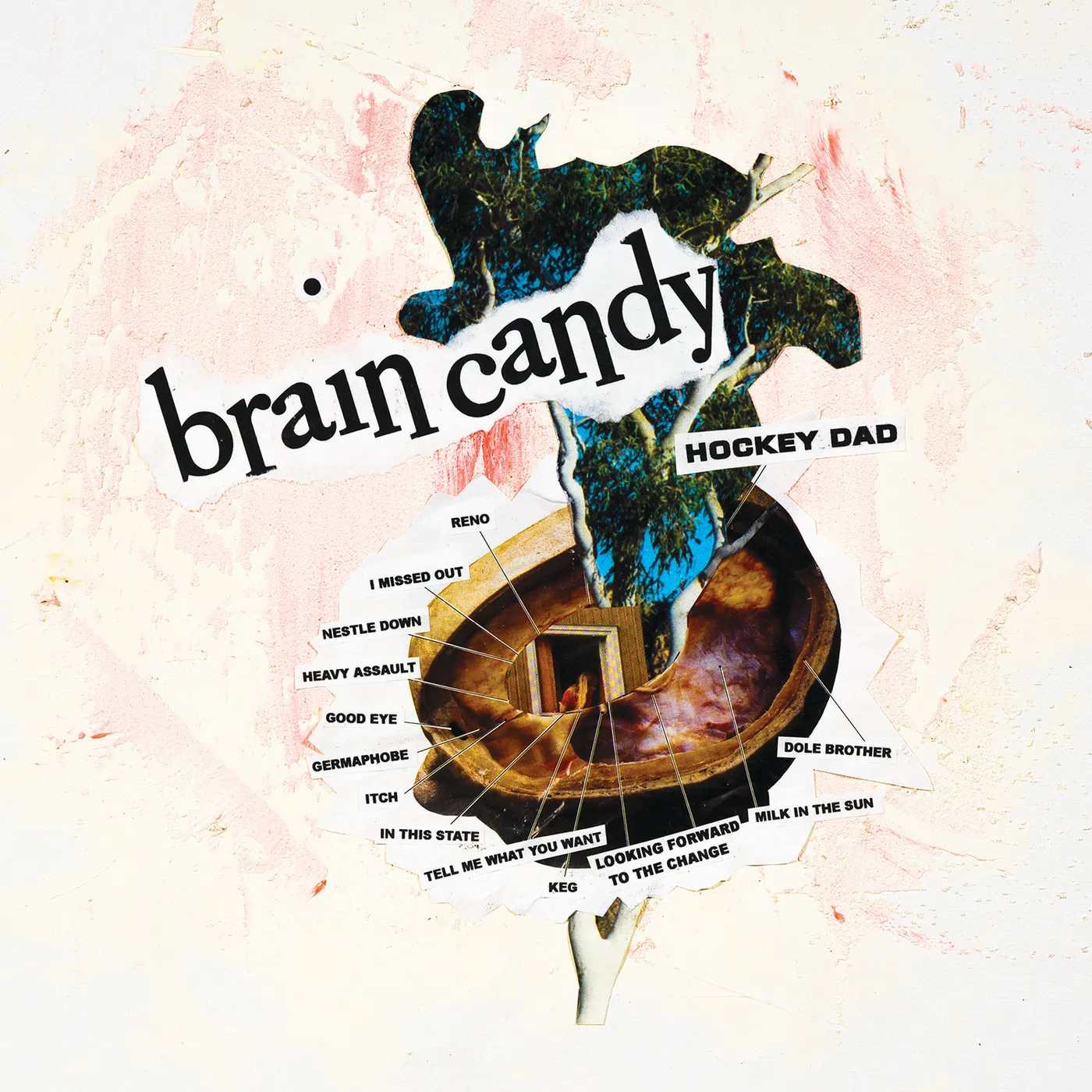 Hockey Dad Brain Candy Vinyl Record