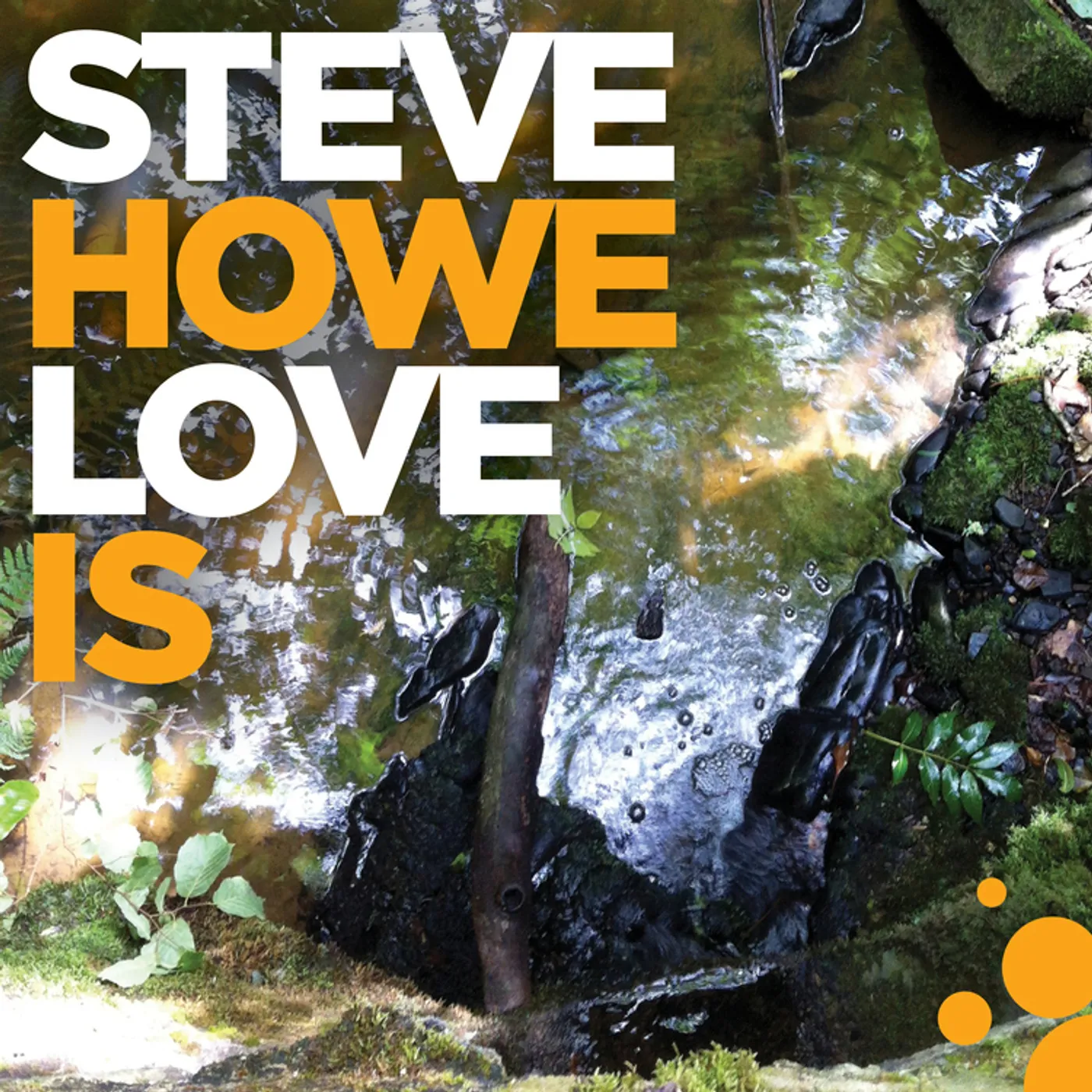 Steve Howe Love Is Vinyl Record