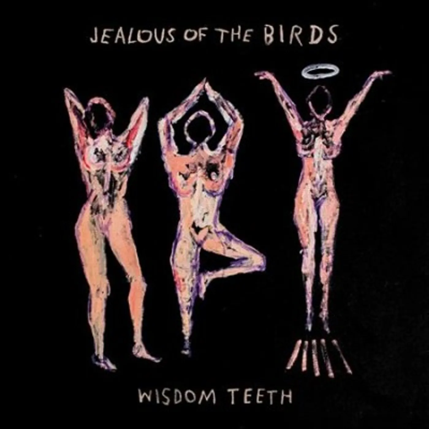Jealous of the Birds Wisdom Teeth Vinyl Record