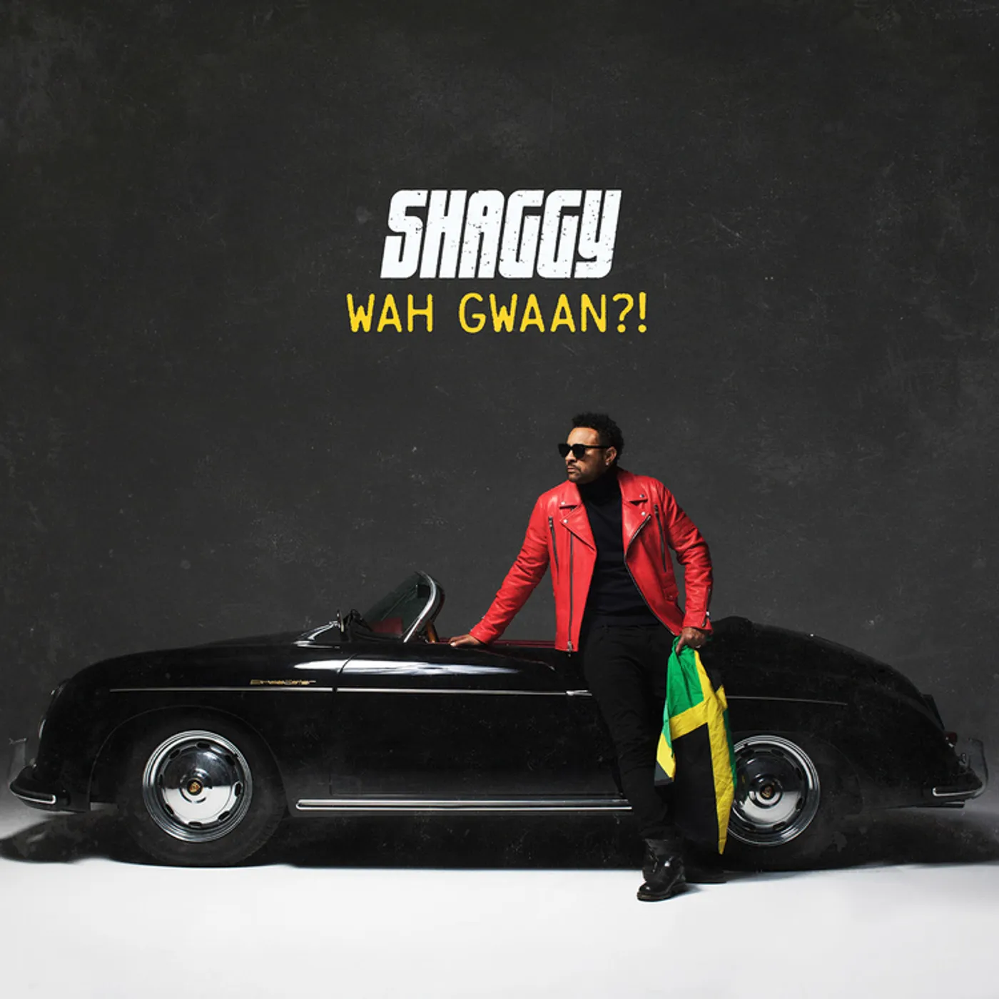 SHAGGY Vinyl Record