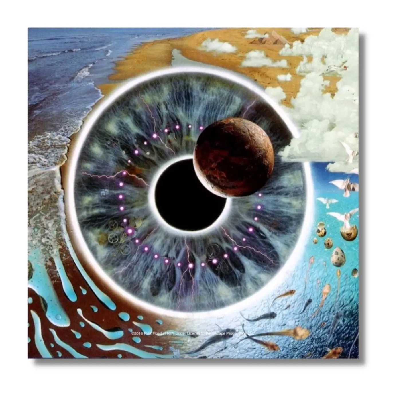 Pink Floyd Pulse Magnet