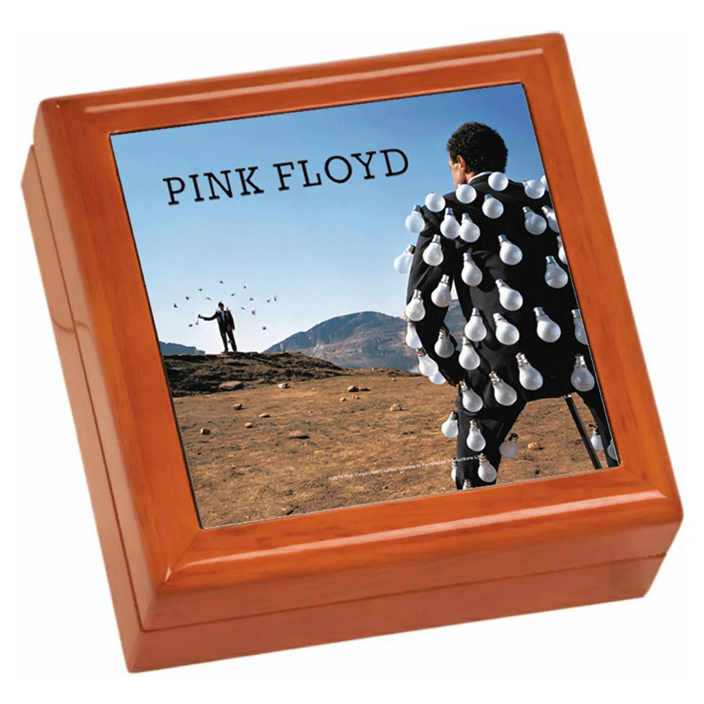 Pink Floyd Delicate Sound Of Thunder Wooden Keepsake Box
