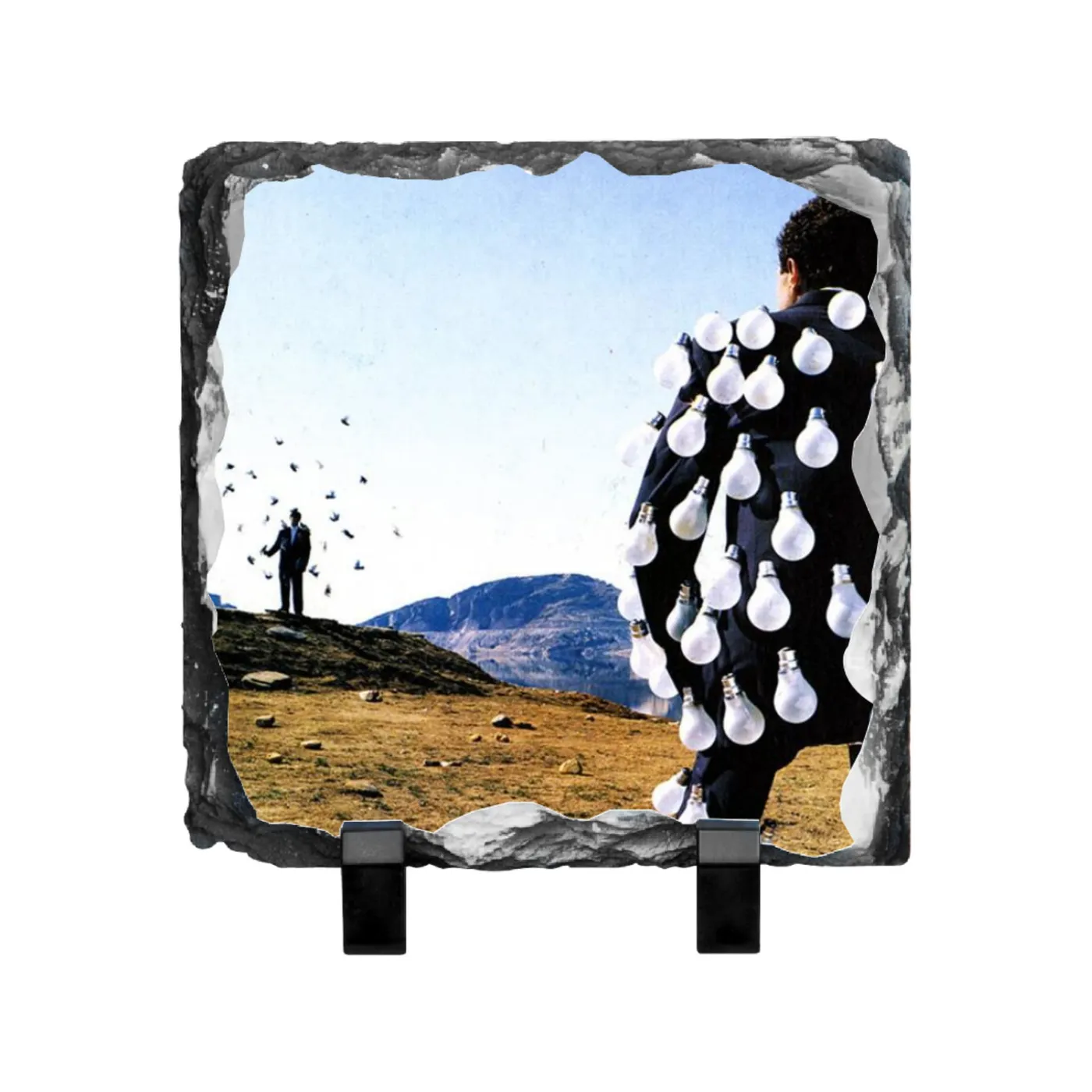 Pink Floyd Delicate Sound Of Thunder Photo Slate