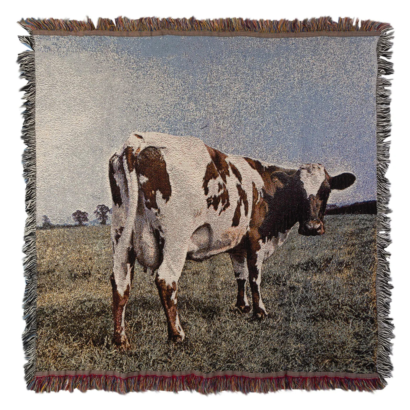 Pink Floyd Atom Heart Mother Throw Blanket