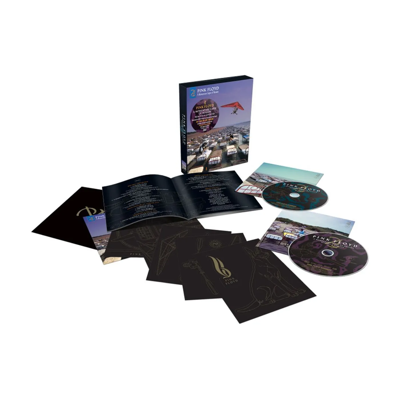 Pink Floyd A Momentary Lapse Of Reason (Remixed & Updated) DVD/CD
