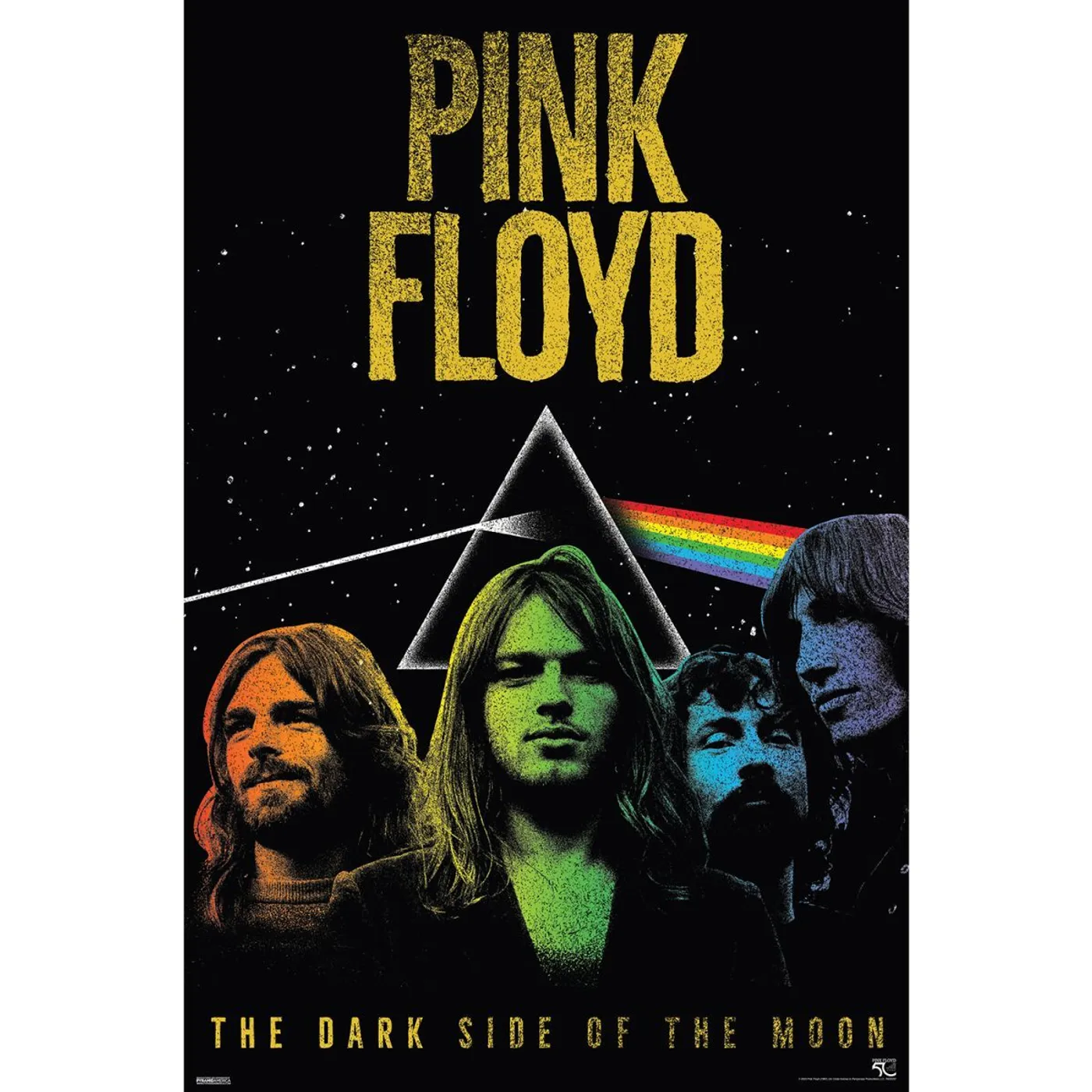 Pink Floyd - DSOTM50-Band 24" x 36" Standard Poster