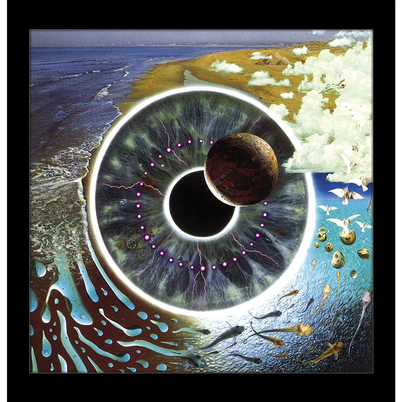 Pink Floyd Pulse 12x12 Framed Print