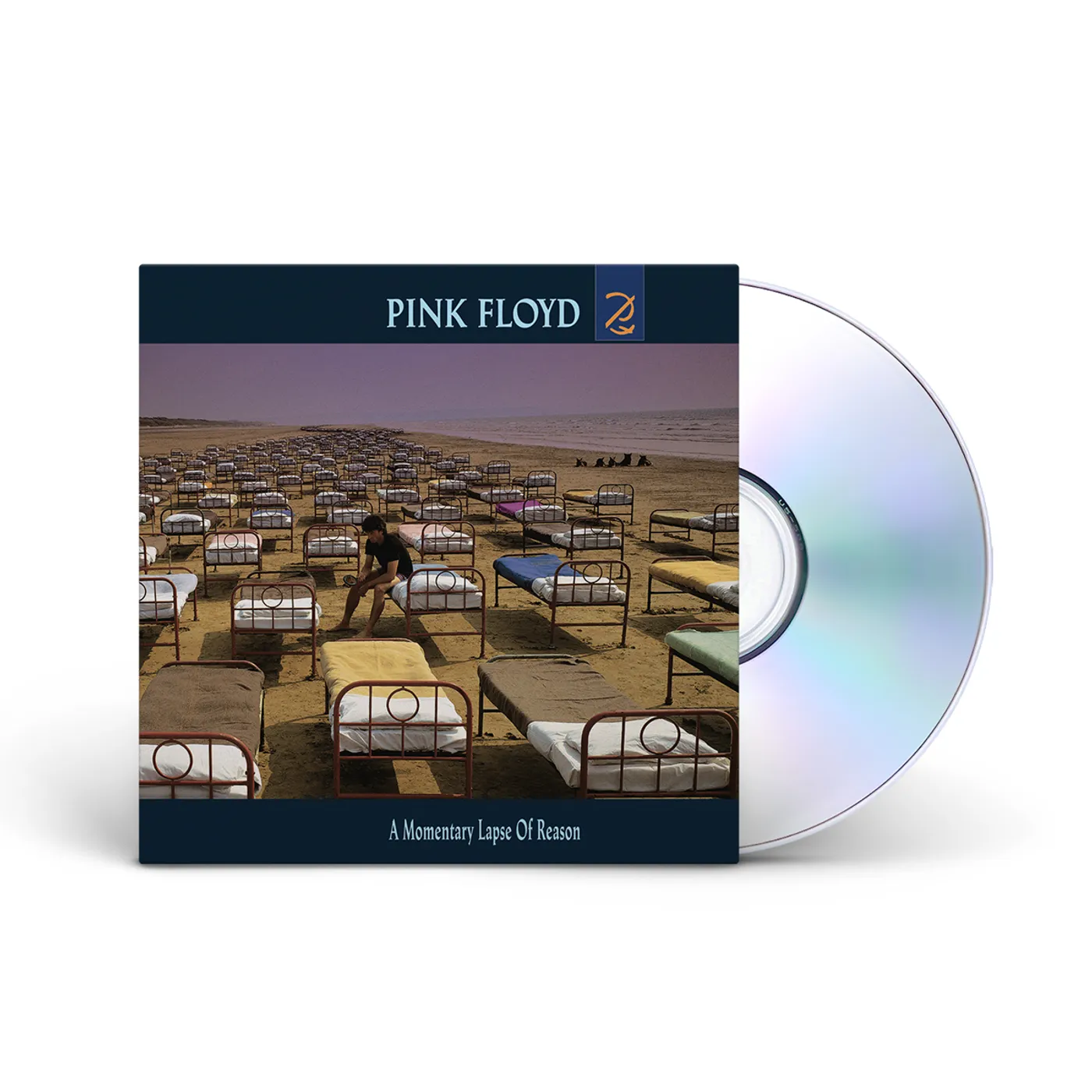 Pink Floyd A Momentary Lapse Of Reason CD