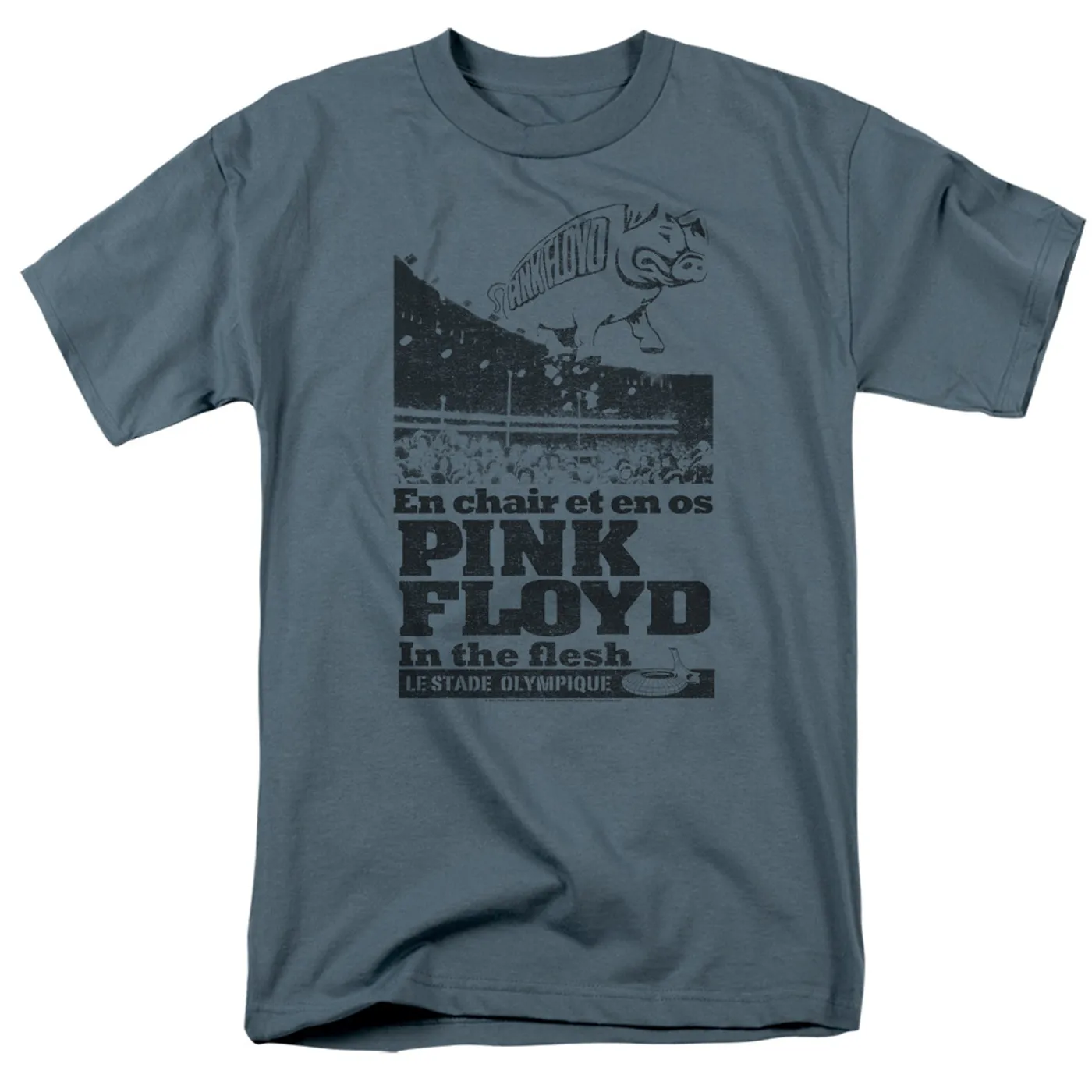 Pink Floyd In The Flesh Logo
