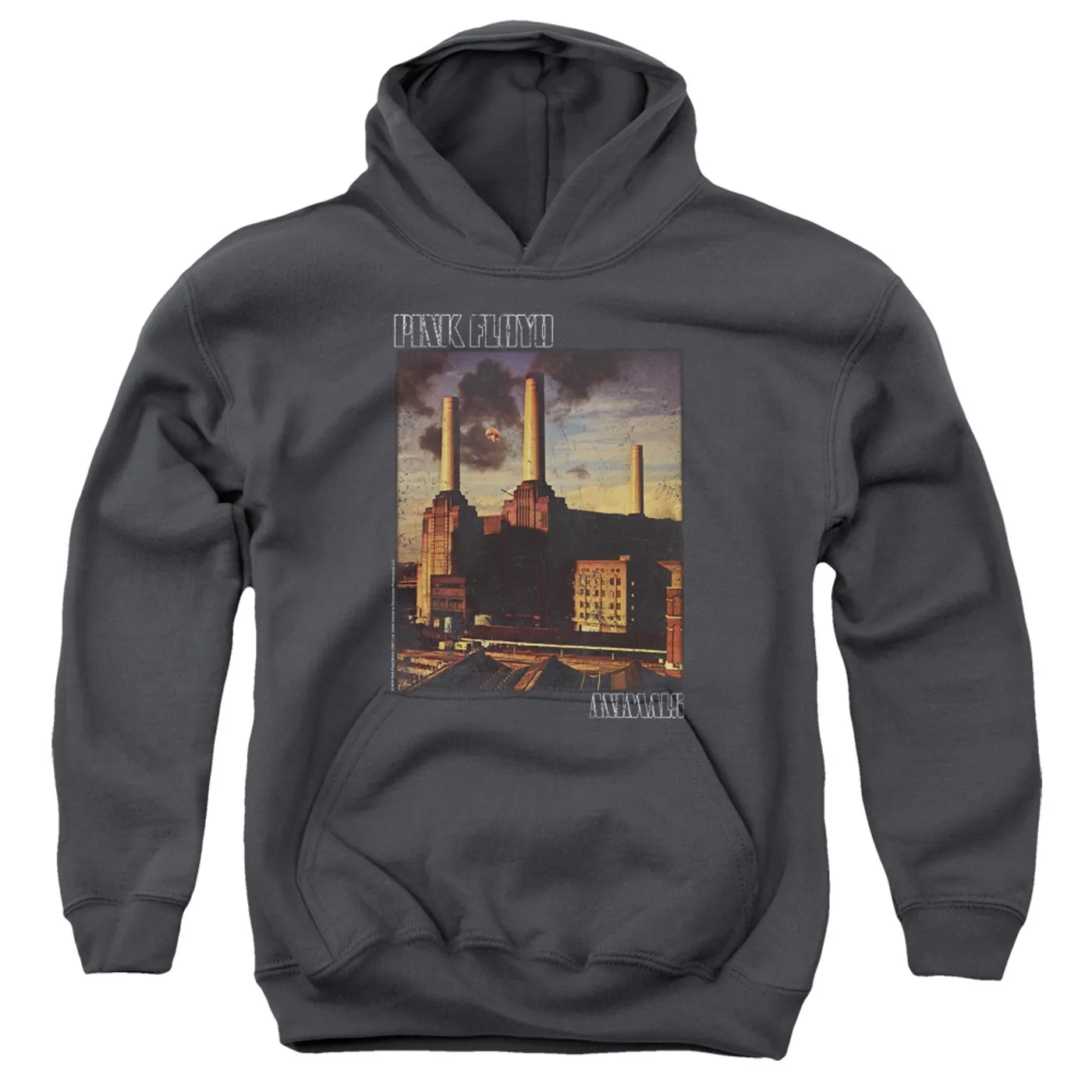 Pink Floyd Faded Animals Youth Logo