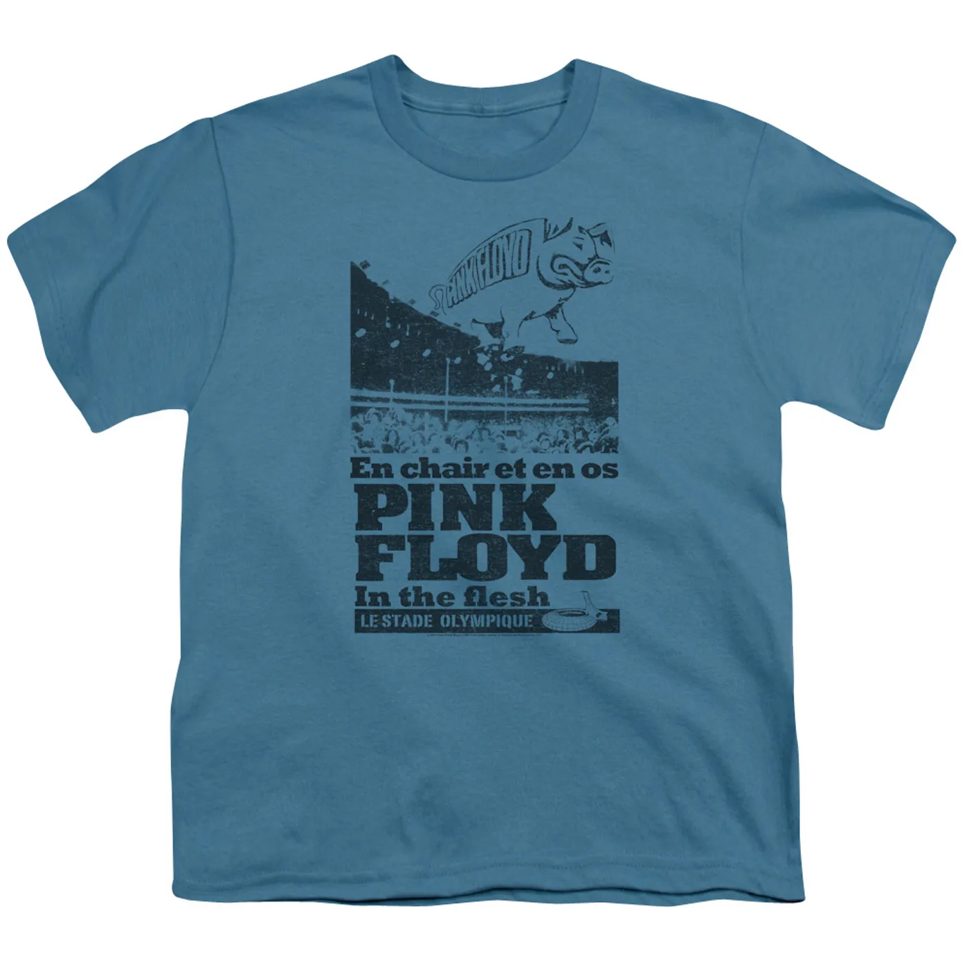 Pink Floyd In The Flesh Youth Logo