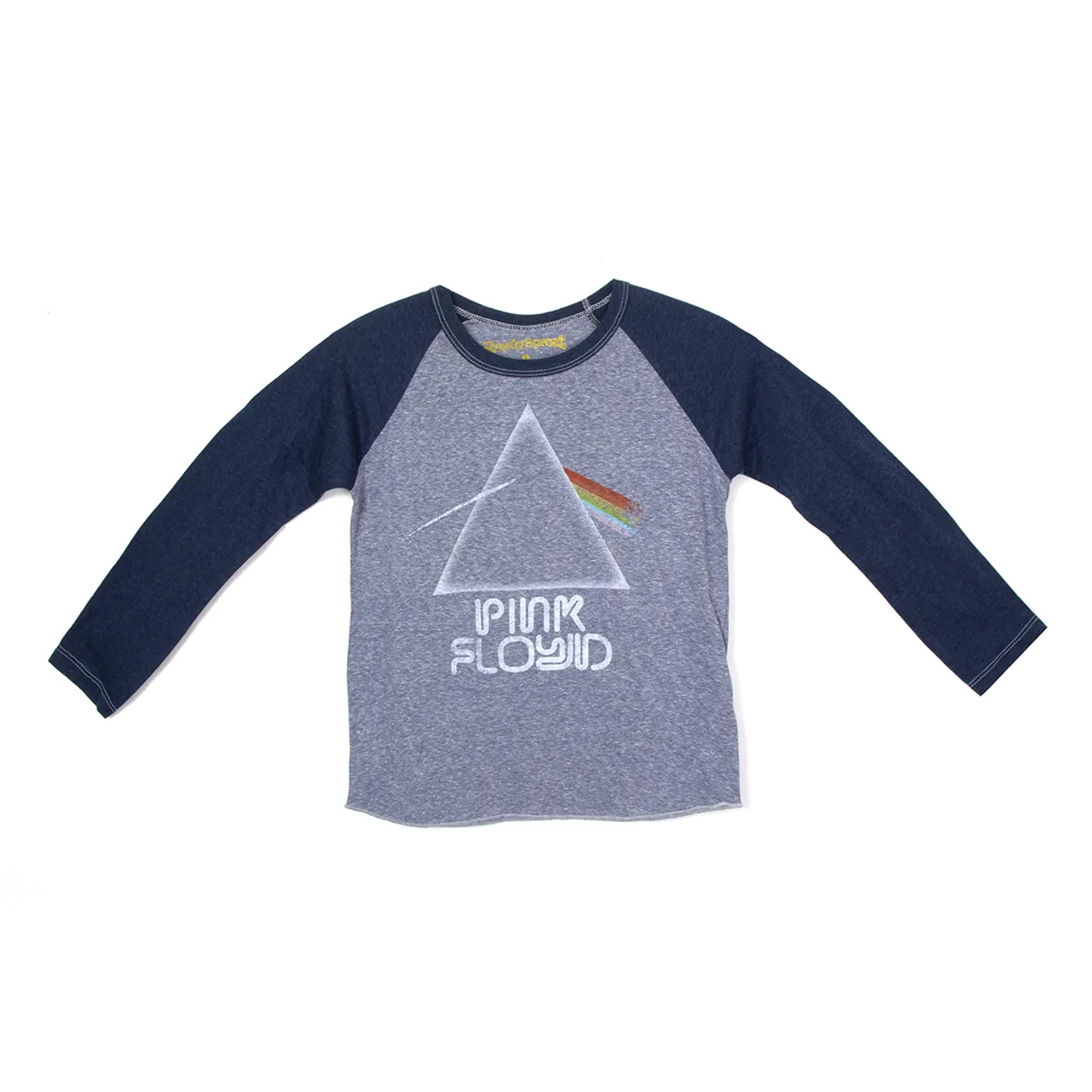 Pink Floyd Kids Dark Side Of The Moon Blue Raglan Long Sleeve T-shirt