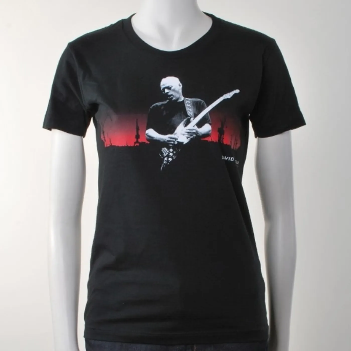 David Gilmour Live In Gdansk Photo Women's T-Shirt