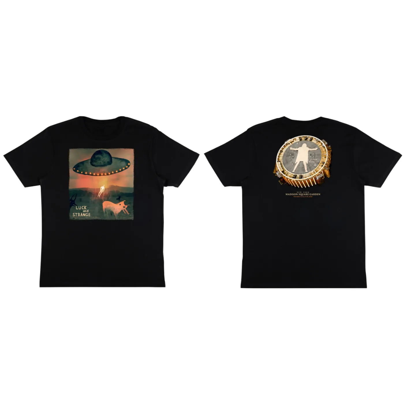 David Gilmour Luck and Strange Tour NYC MSG Exclusive T-Shirt