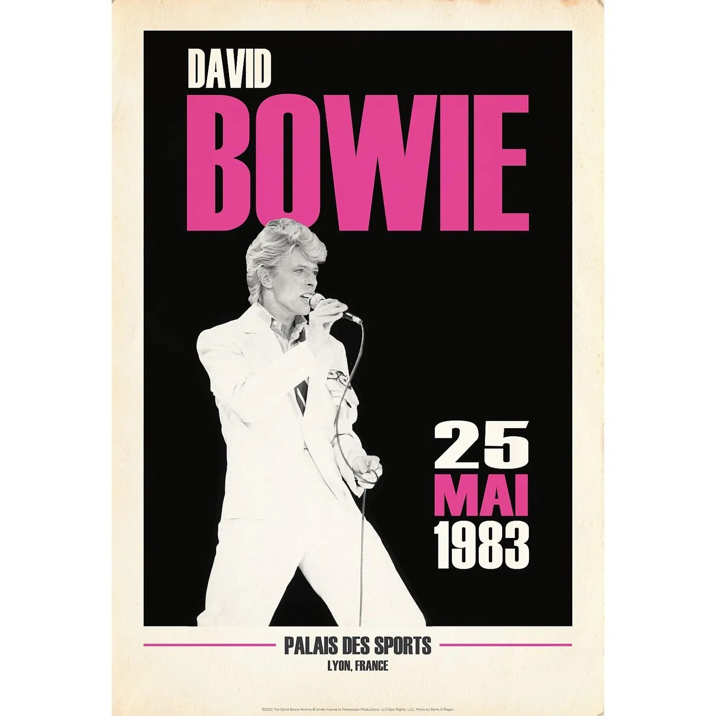 David Bowie Live in Lyon, France