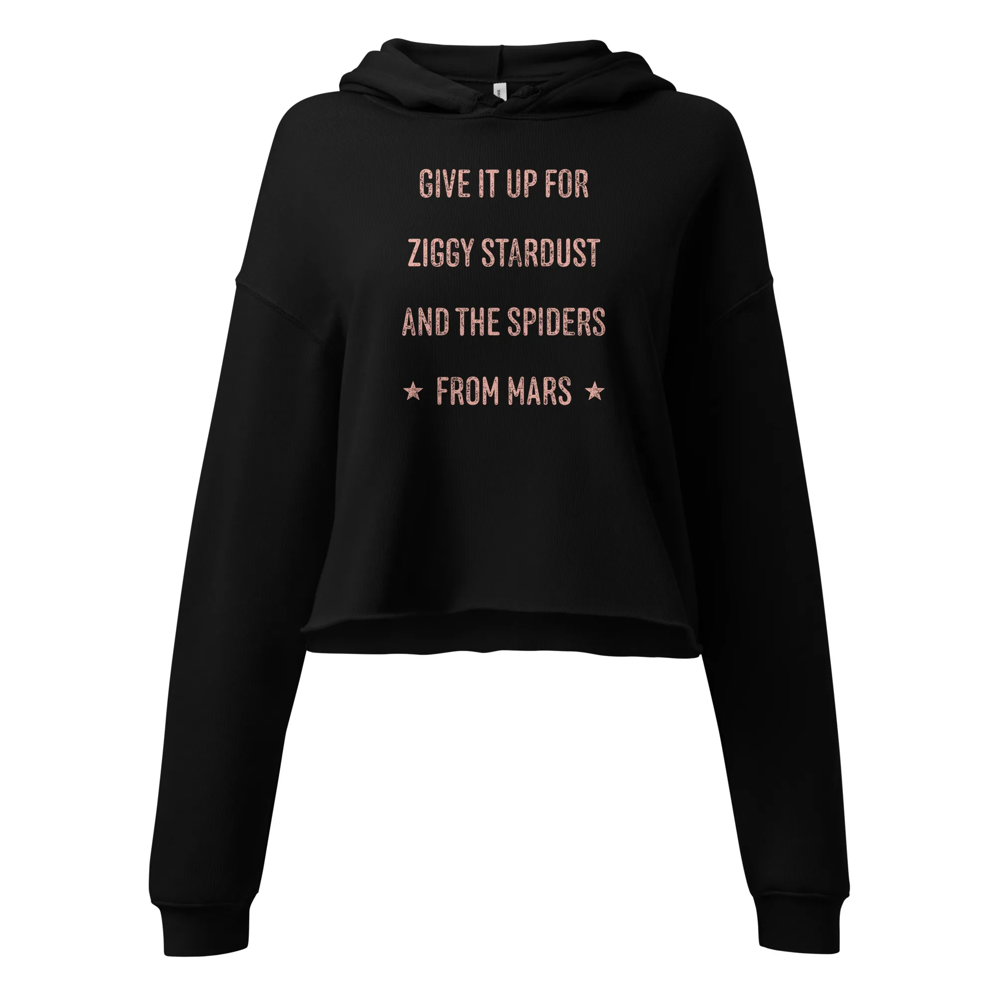 Give it up for Ziggy Cropped Hoodie