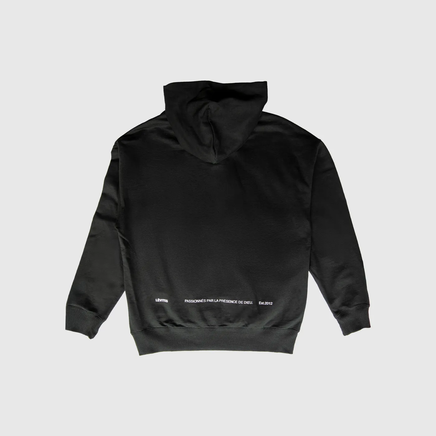 Hoodie oversize - Horizon Louange