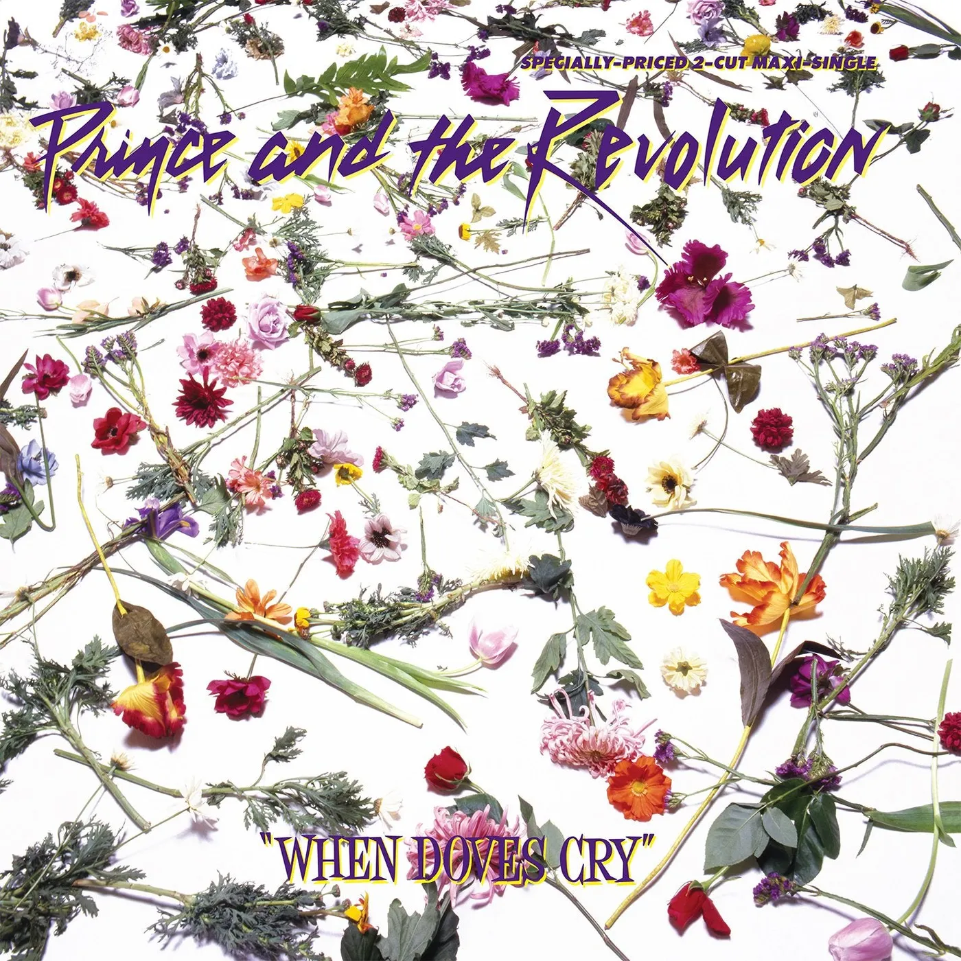 Prince And The Revolution – When Doves Cry