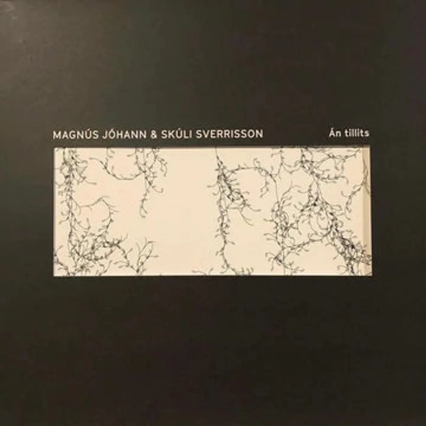 Magnús Jóhann and Skúli Sverrisson Magnús Jóhann & Skúli Sverrisson - Án tillits