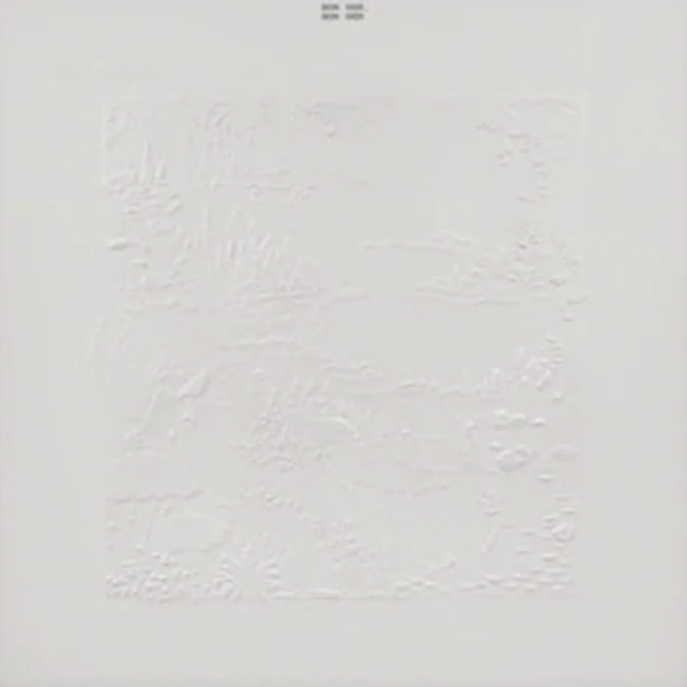 Bon Iver - Bon Iver (10th Anniversary edition)