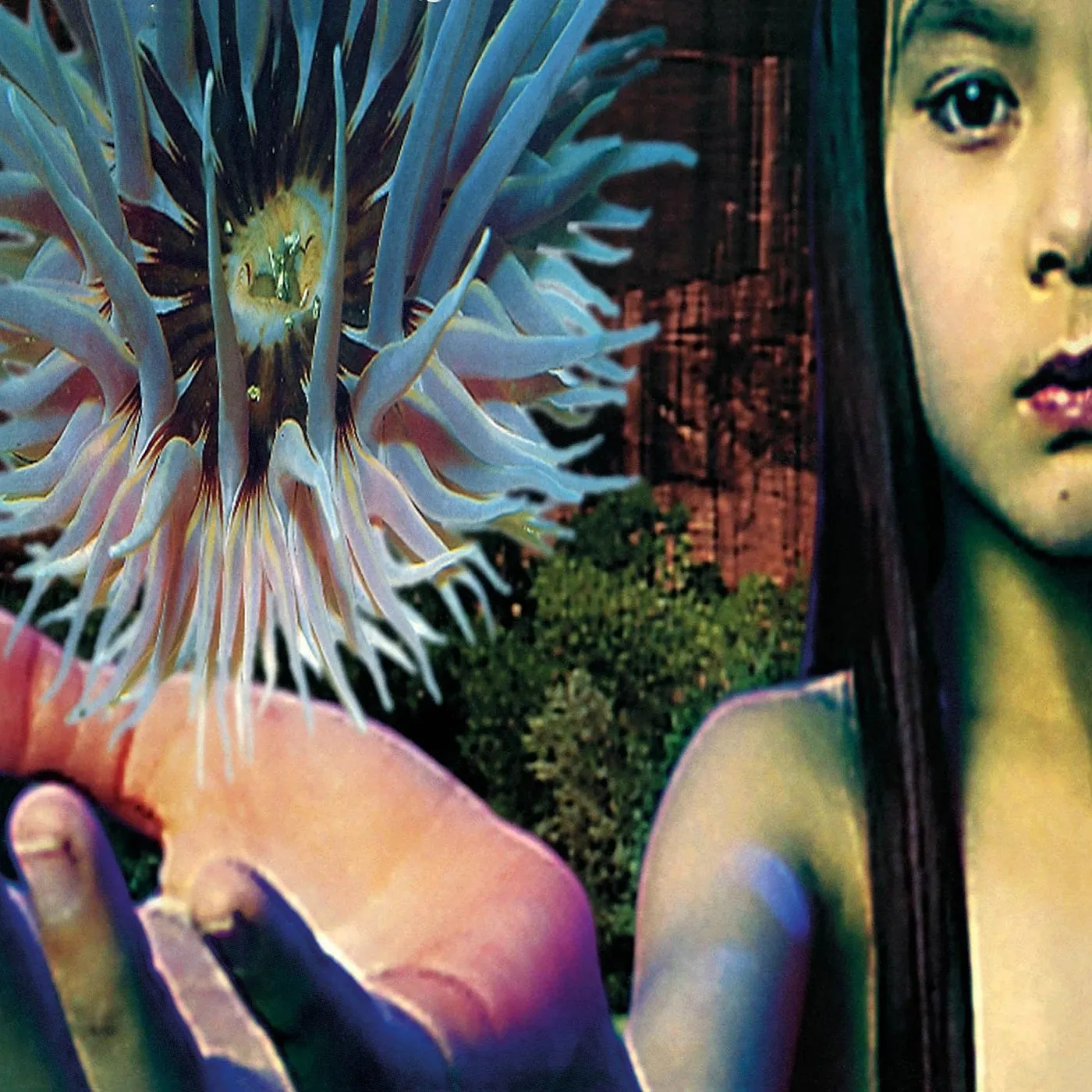 The Future Sound Of London Lifeforms