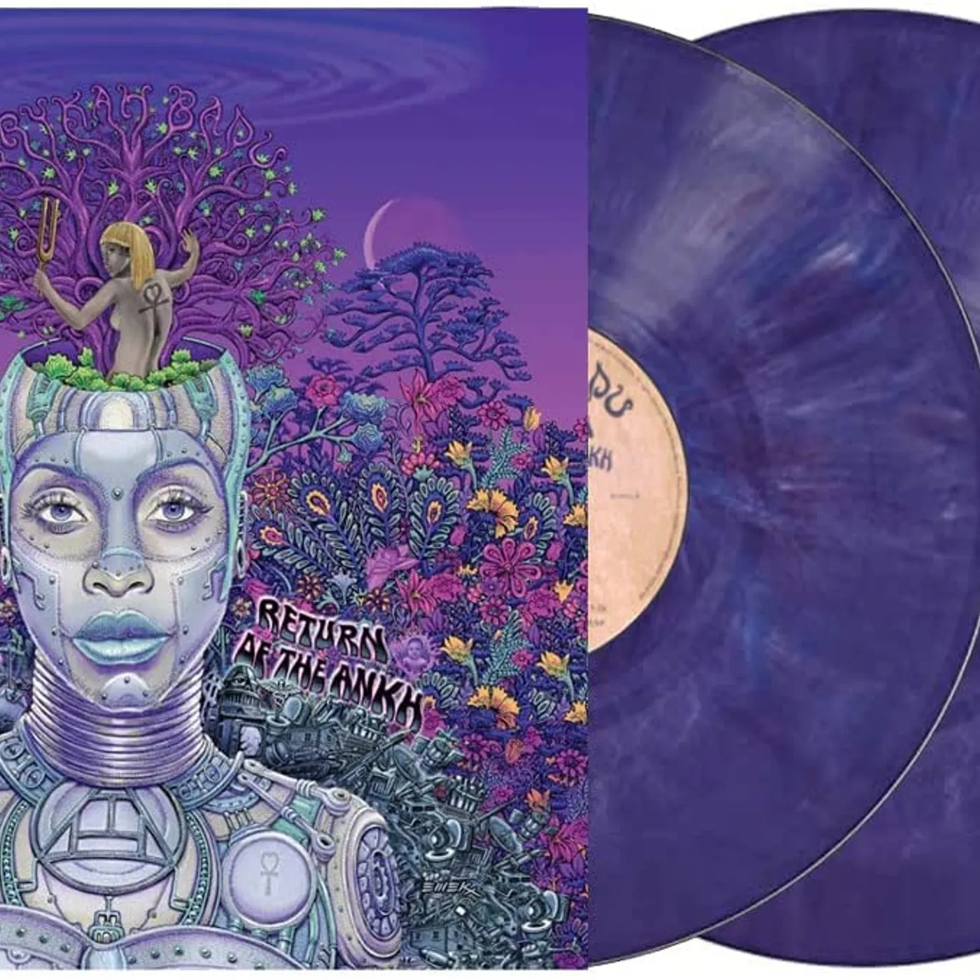 Erykah Badu - New Amerykah Part 1