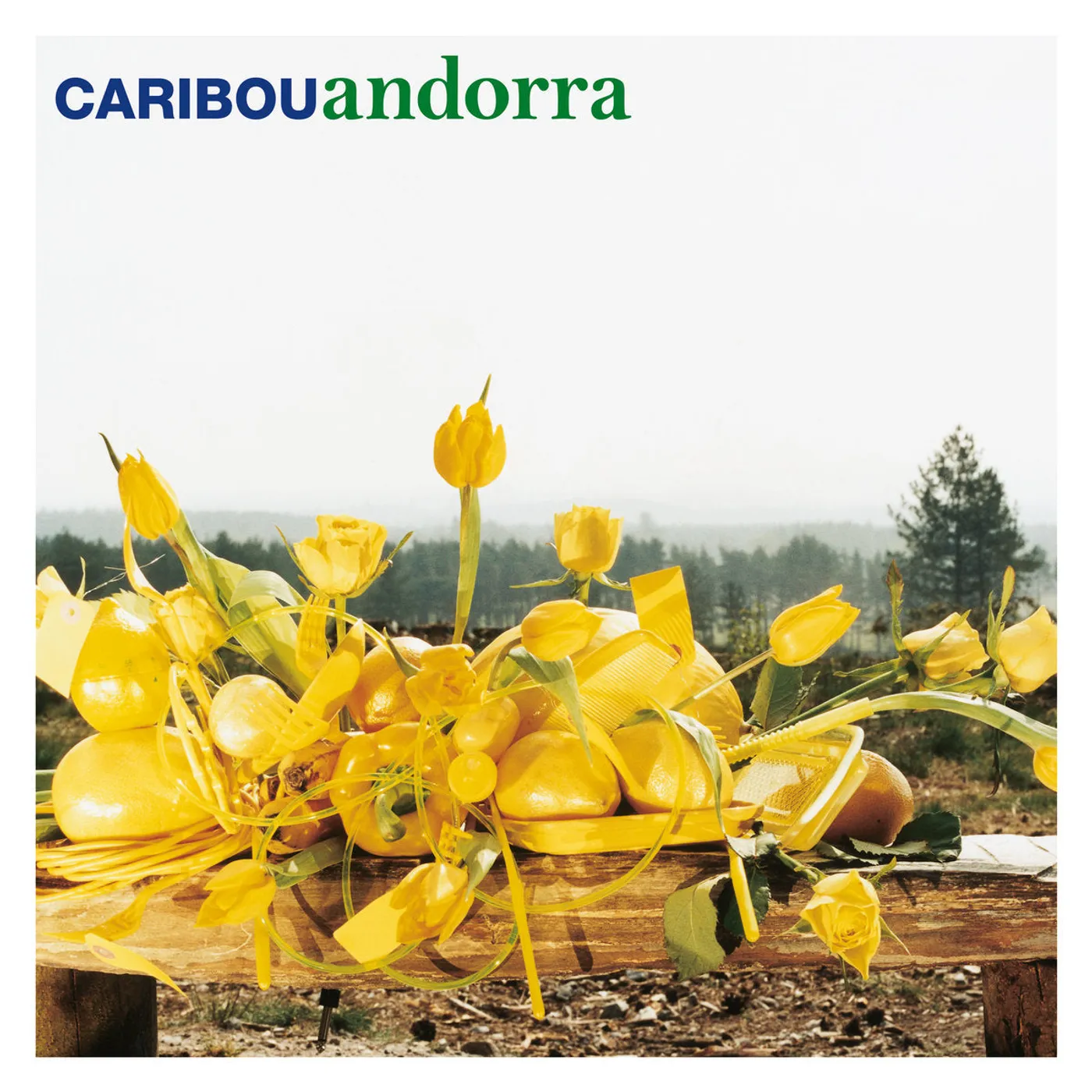 Caribou - Andorra (15th anniversary) (Vinyl)