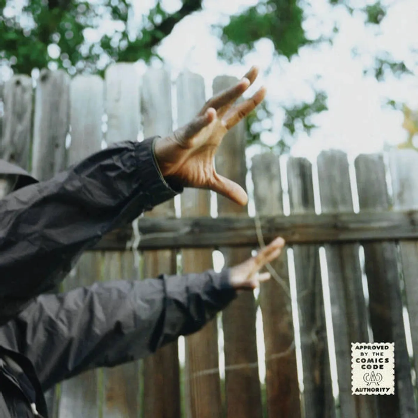 Madlib Madvillain - Madvillainy Remixes