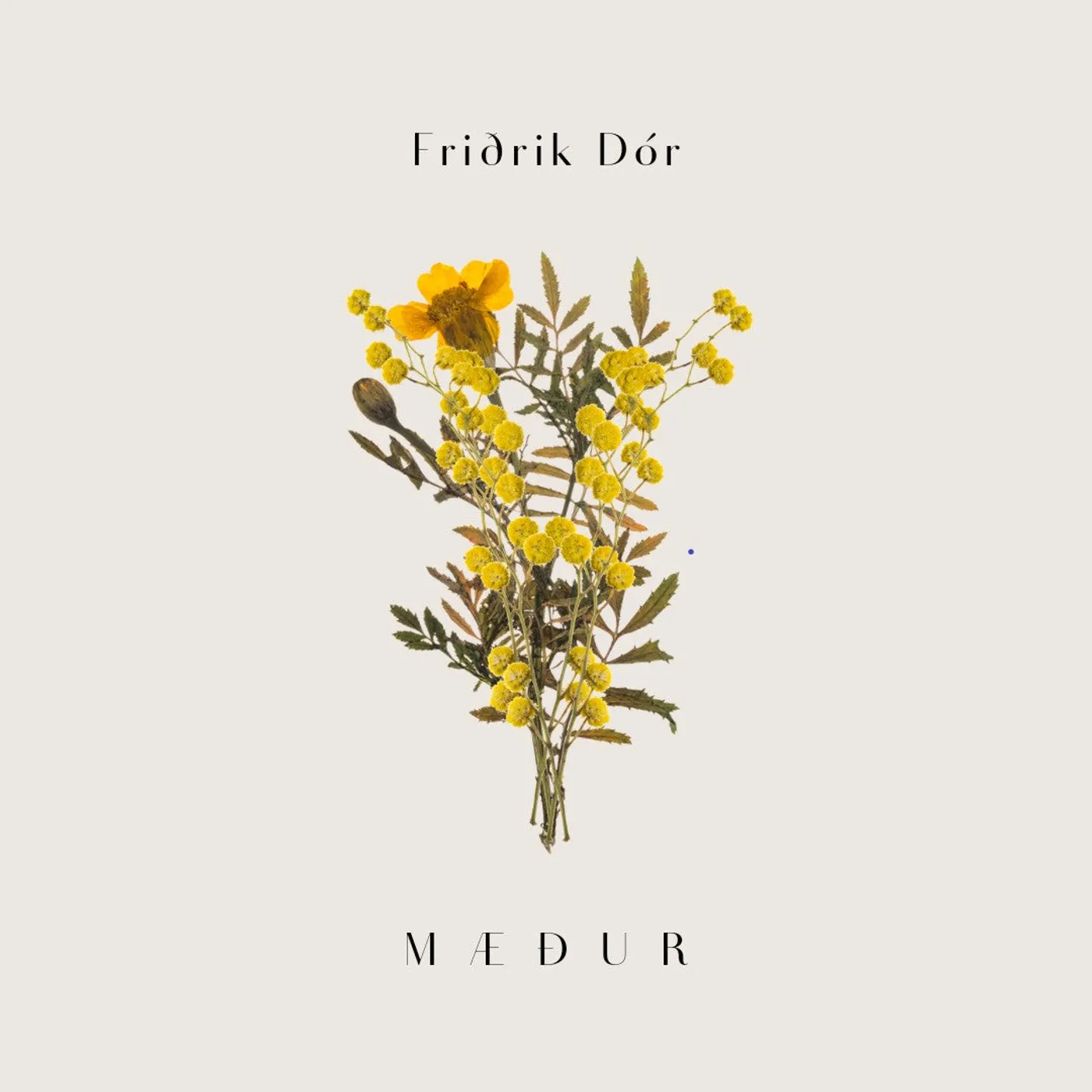 Friðrik Dór - Mæður (10")