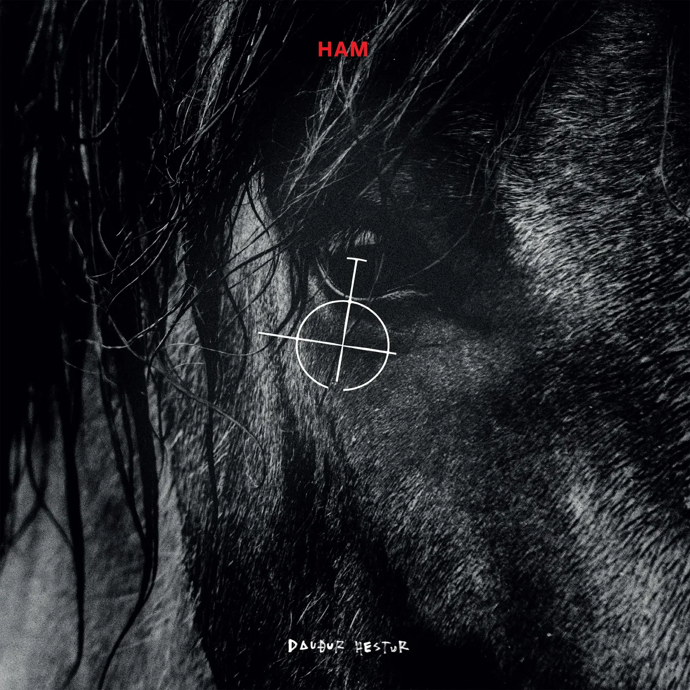 HAM - Dauður hestur