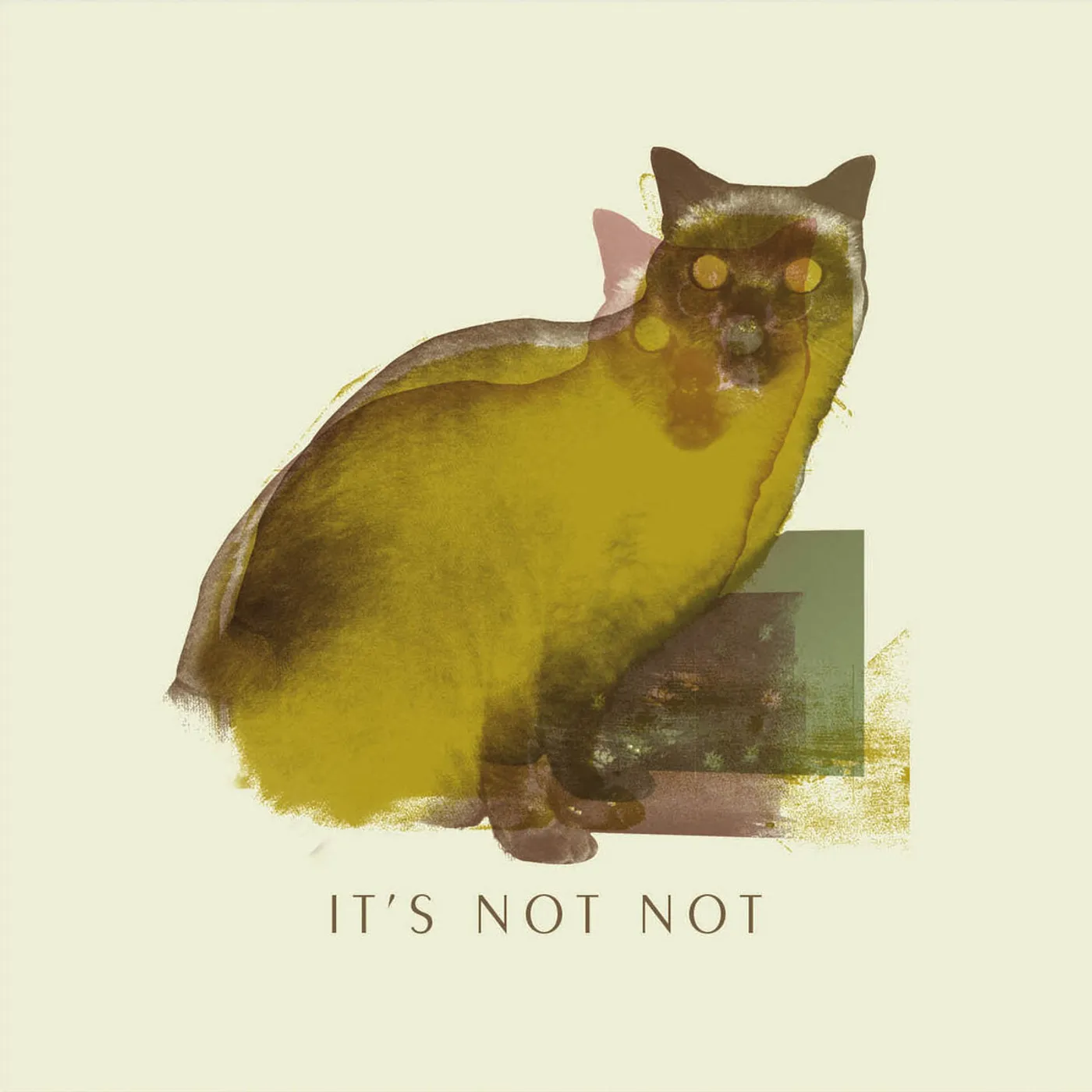 It's Not Not ‎– Bound For The Shine CD