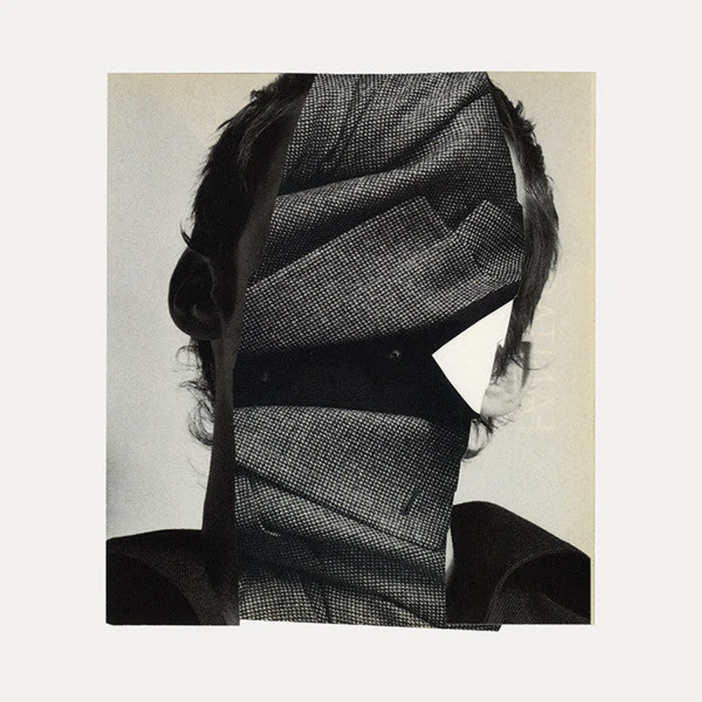 Animic – Skin lp (Vinyl)