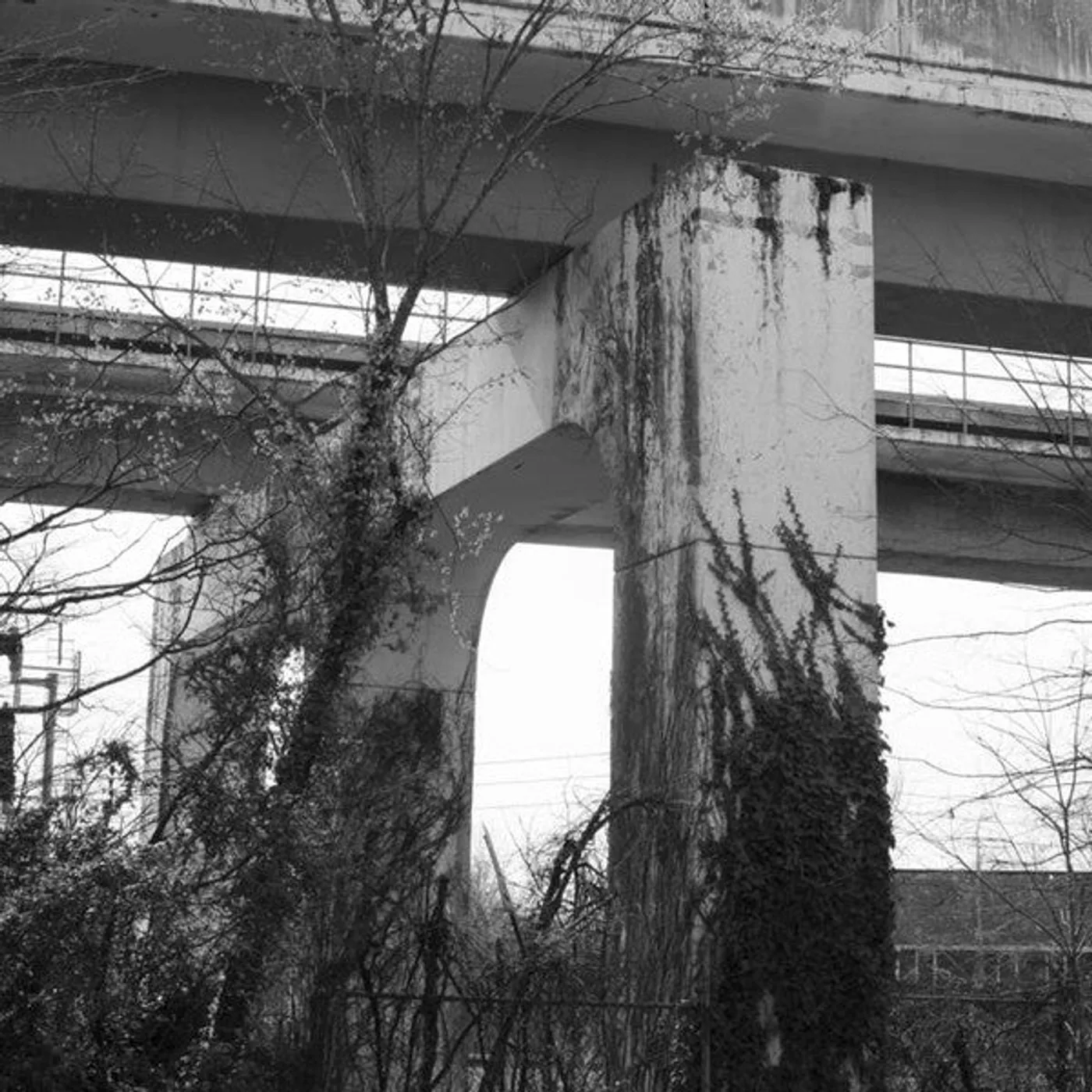 Gentleman Jesse – Lose Everything lp (Vinyl)