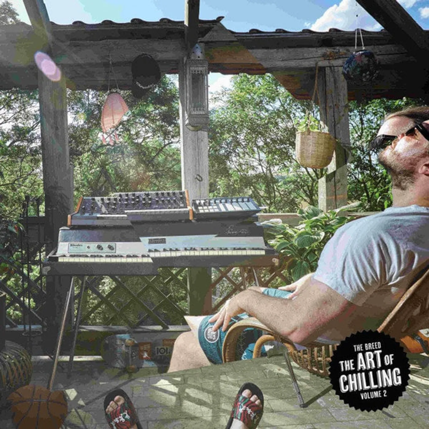 Breed Art Of Chilling V.2 vinyl record