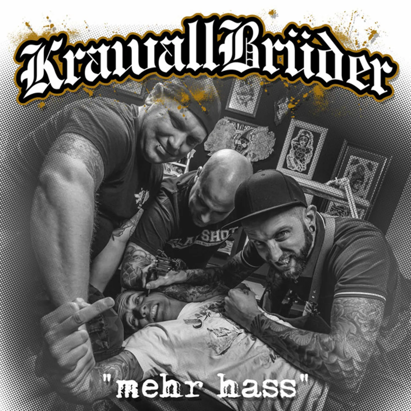 KrawallBrüder MEHR HASS CD