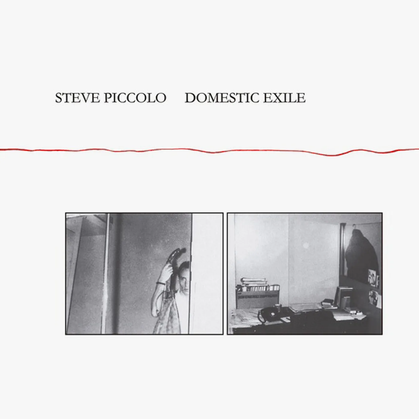 Steve Piccolo Domestic Exile Vinyl Record