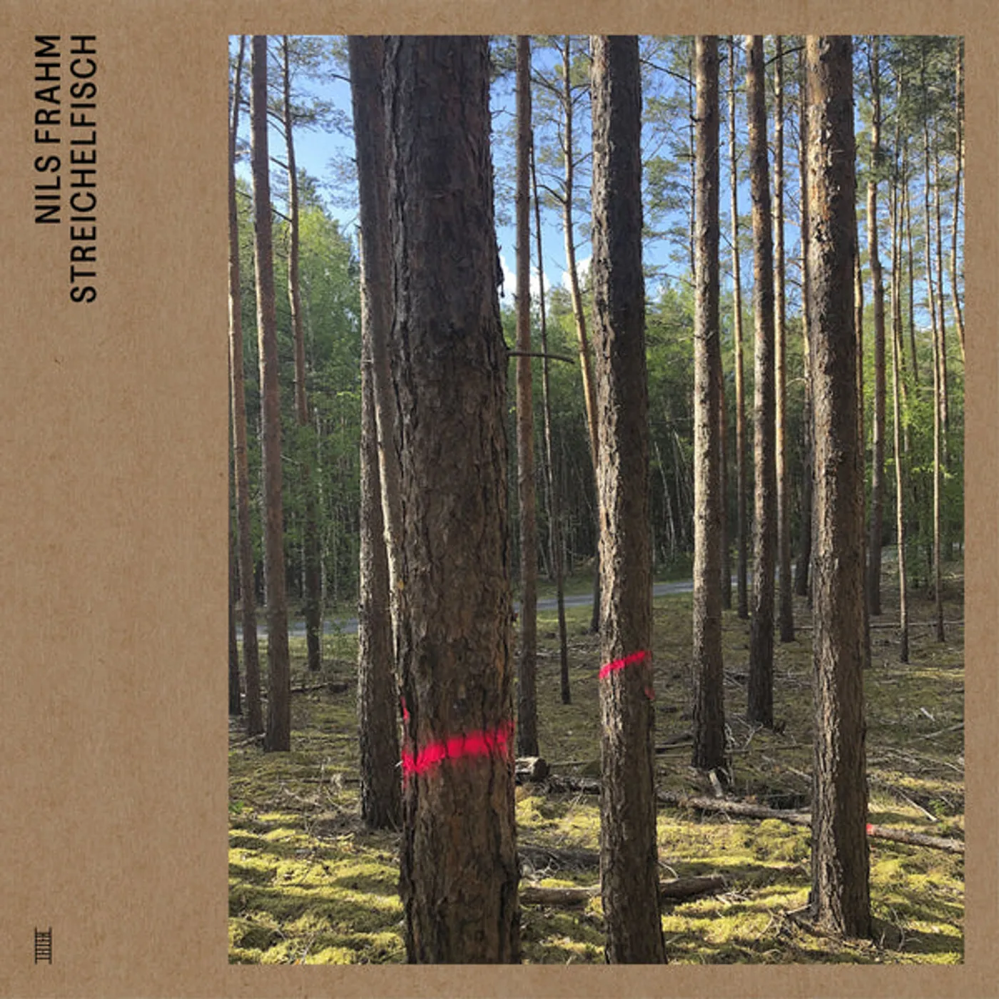 Nils Frahm STREICHELFISCH Vinyl Record