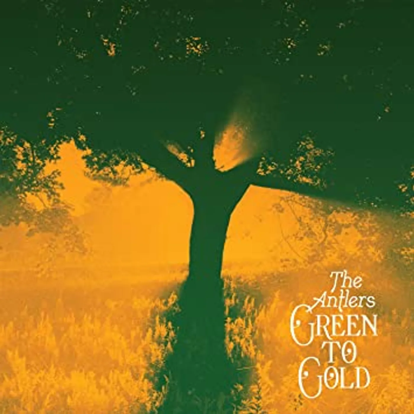 Antlers GREEN TO GOLD Vinyl Record