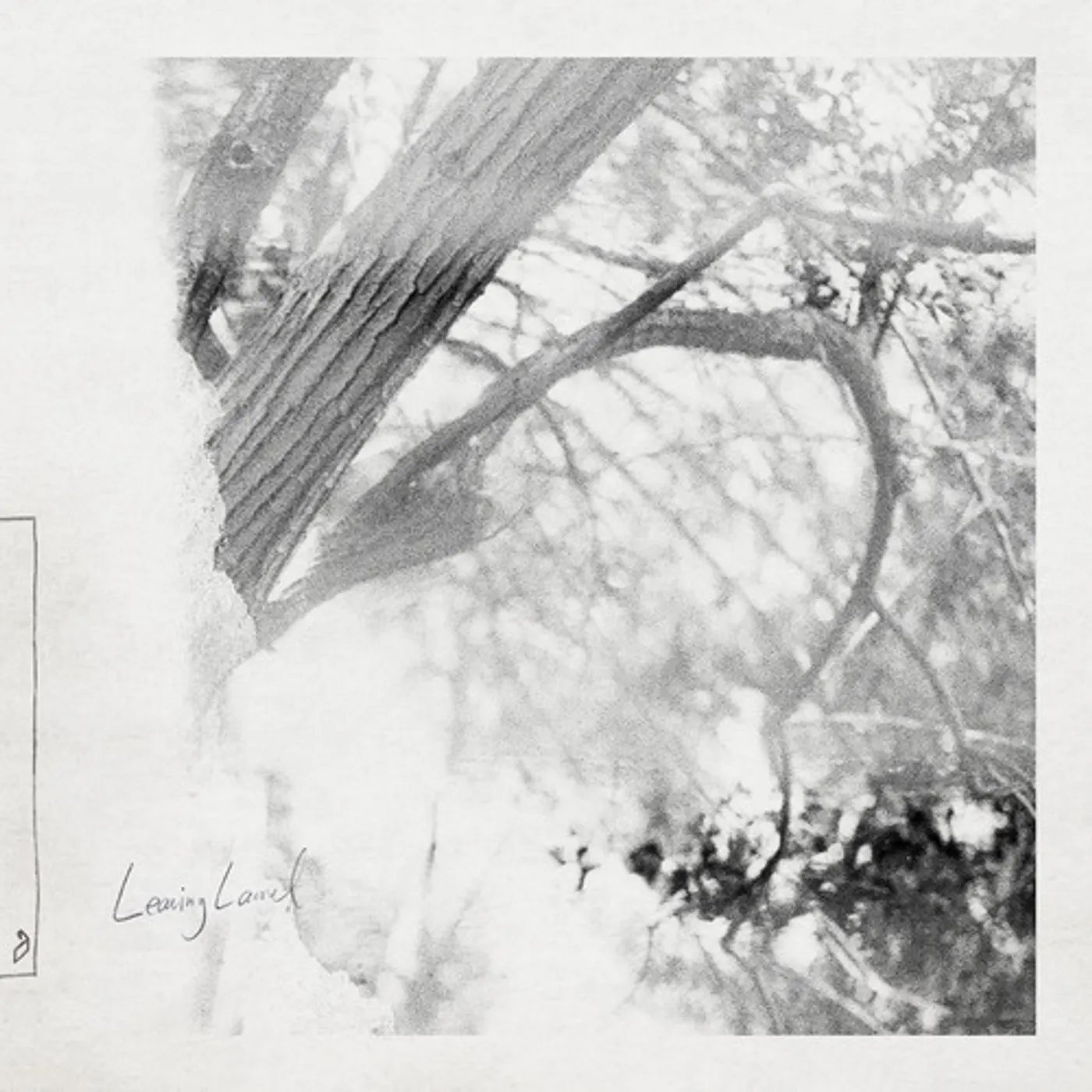 LEAVING LAUREL Vinyl Record