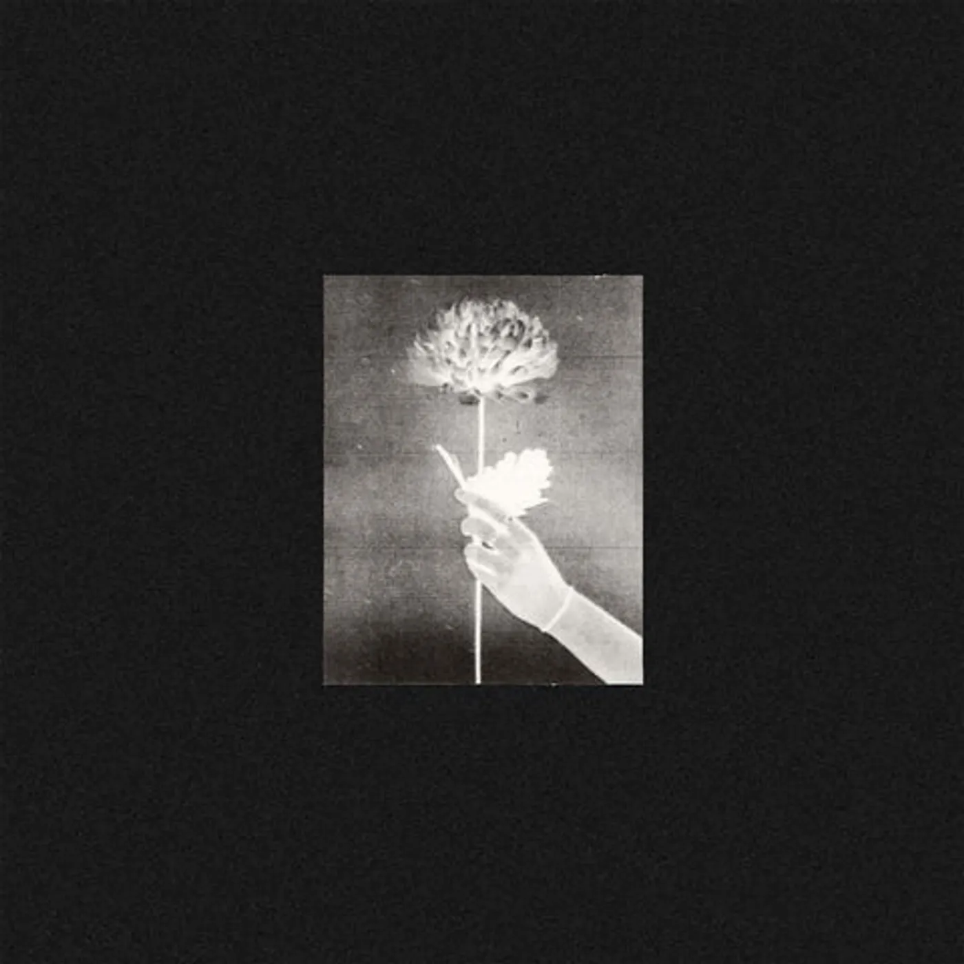 White Flowers Day By Day (Blue) Vinyl Record