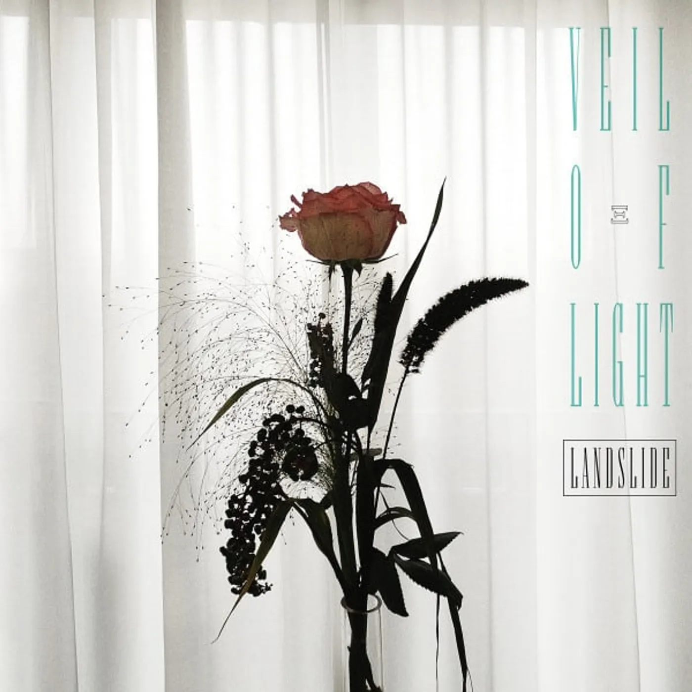 Veil of Light Landslide Vinyl Record