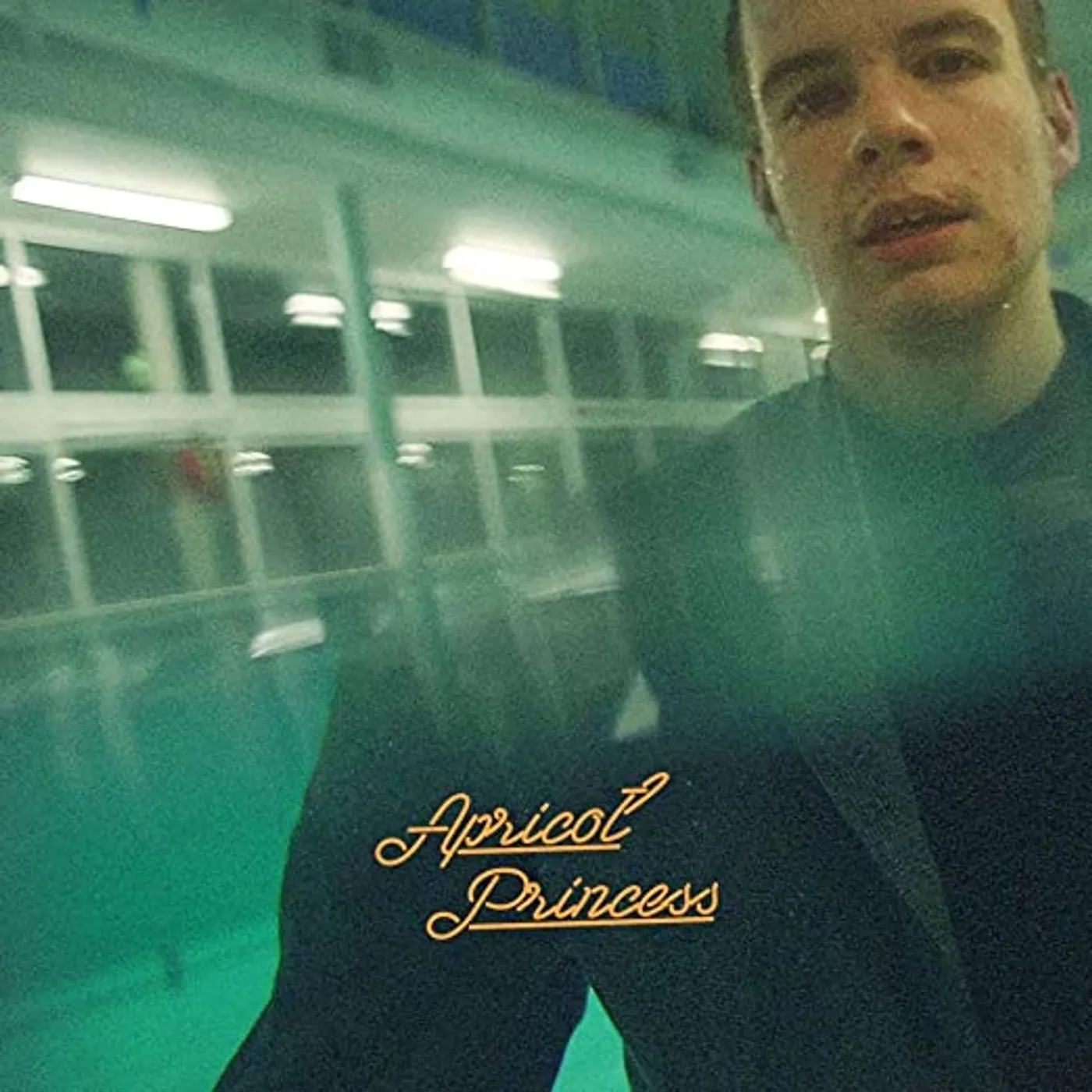 Rex Orange County APRICOT PRINCESS Vinyl Record