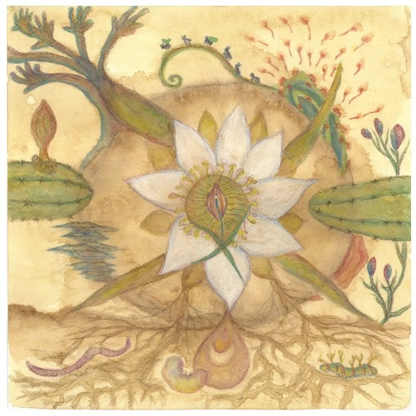 Vision Versions: Joaquin Cornejo Meets Markandeya Vinyl Record