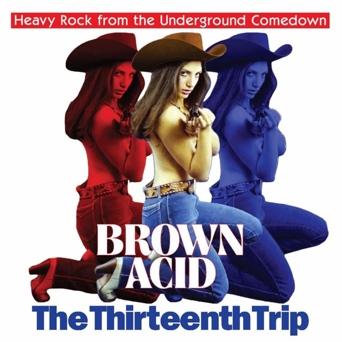 Various Artists  Brown Acid - The Thirteenth Trip Vinyl Record
