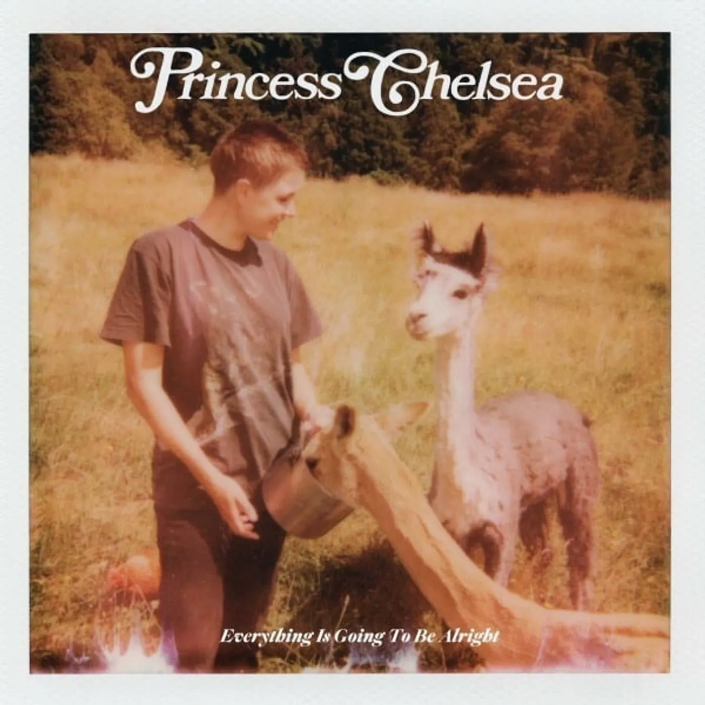 Princess Chelsea Everything Is Going To Be Alright Vinyl Record