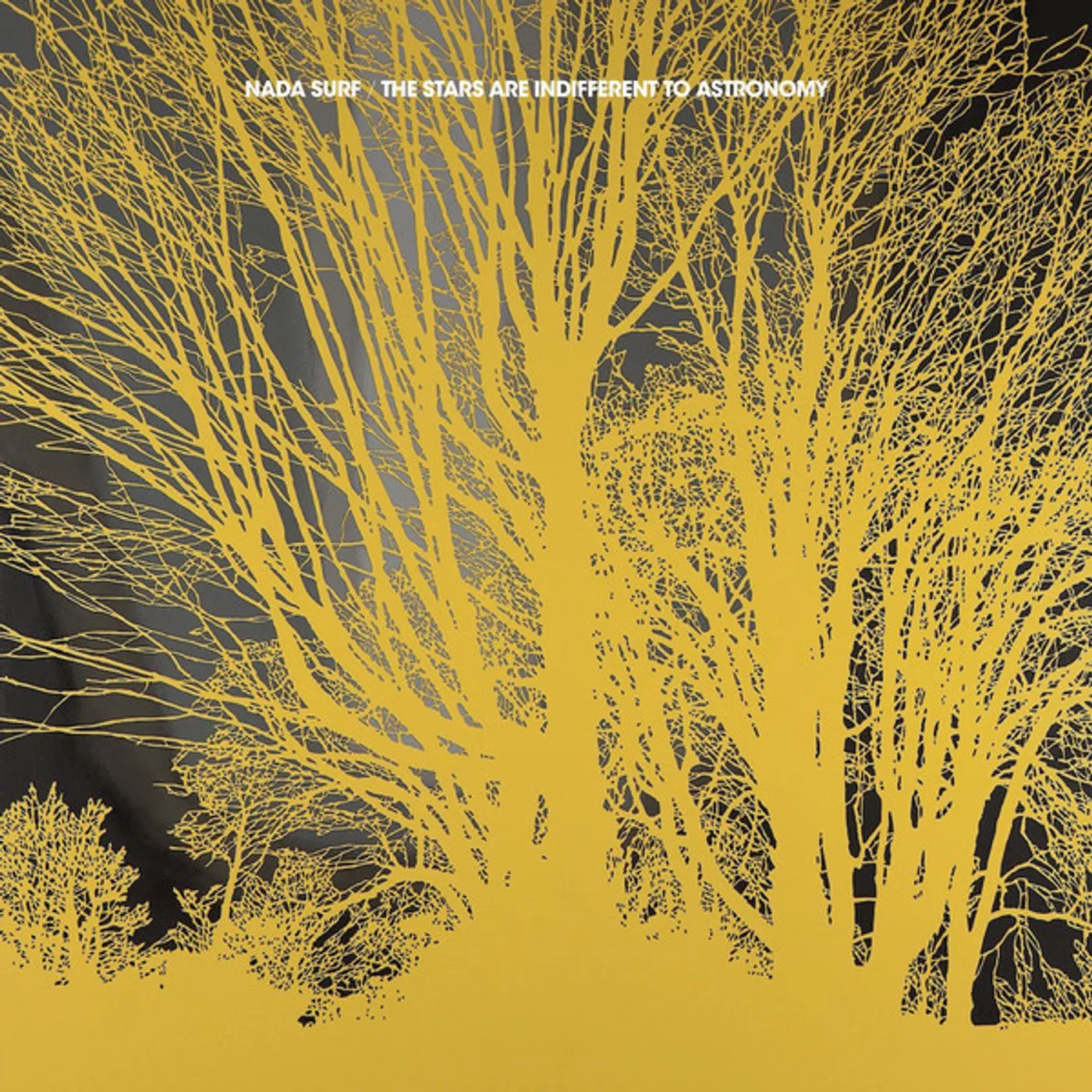 Nada Surf The Stars Are Indifferent To Astronomy Vinyl Record
