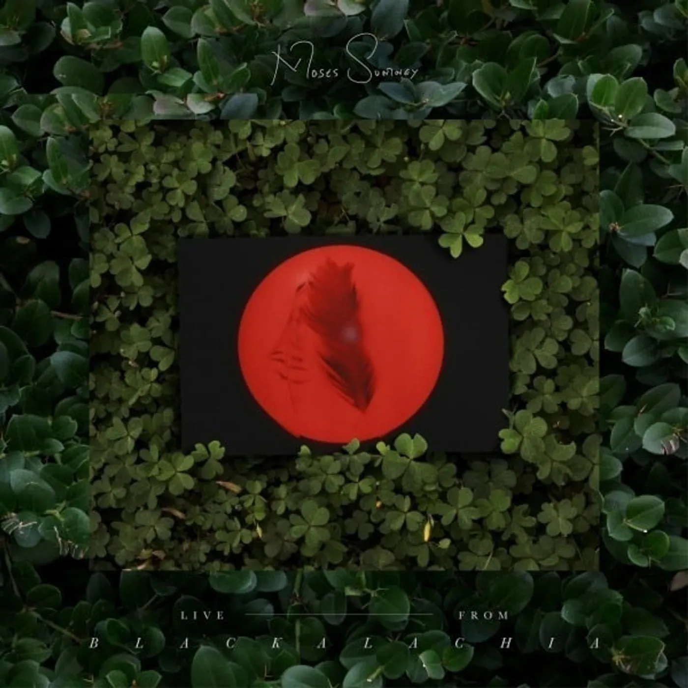 Moses Sumney LIVE - FROM BLACKALACHIA (2LP) Vinyl Record