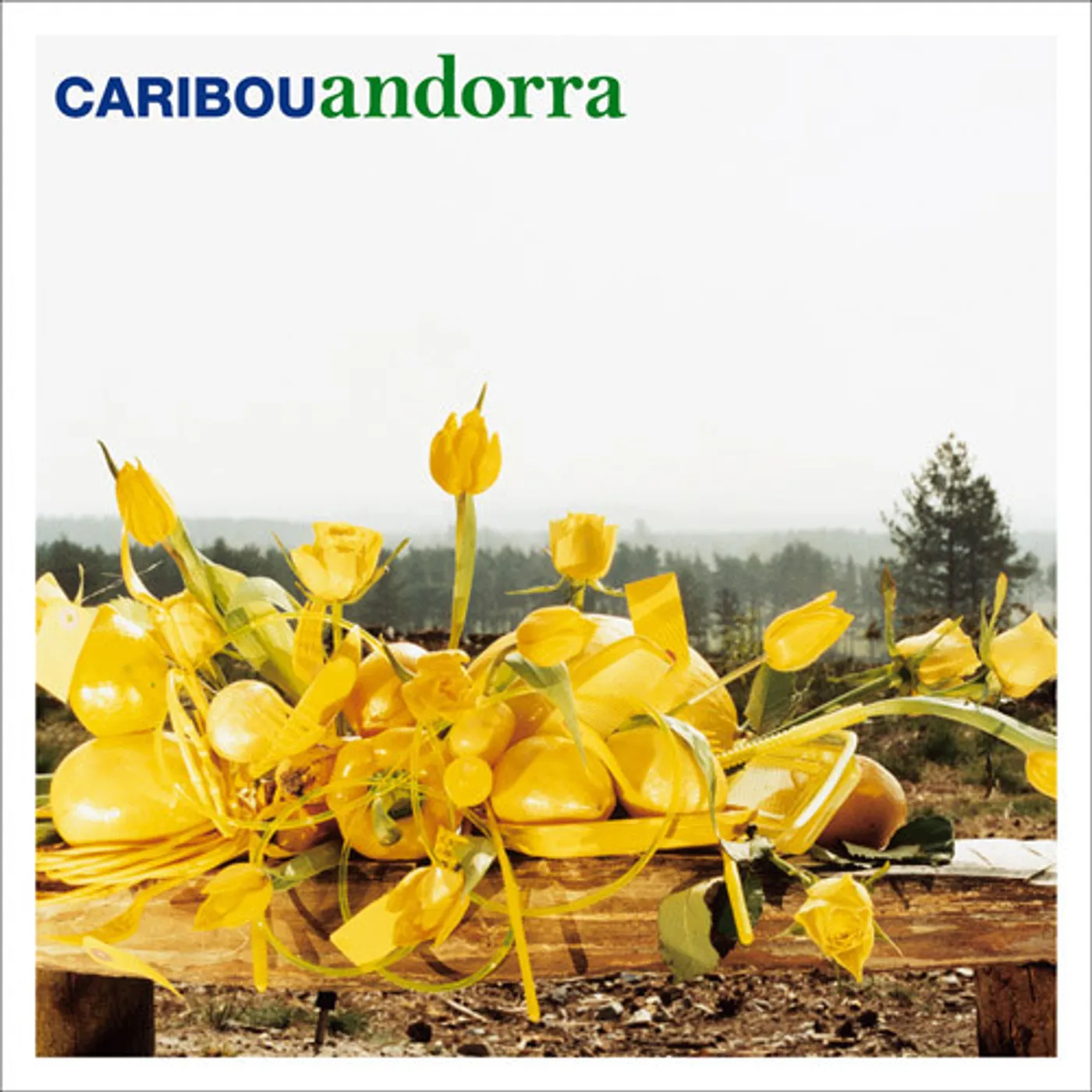 Caribou Andorra Vinyl Record